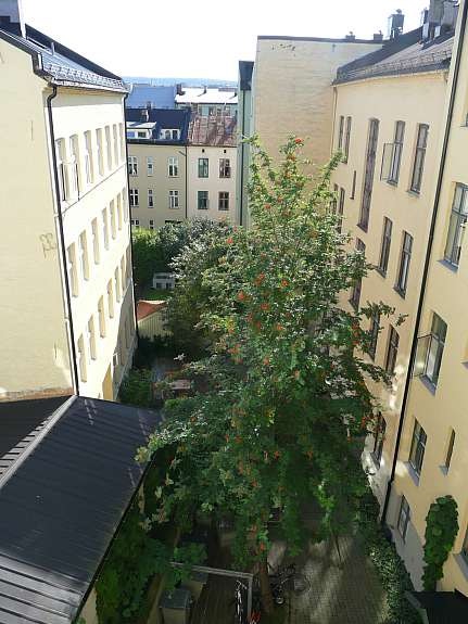 Bakgård Galleribilde