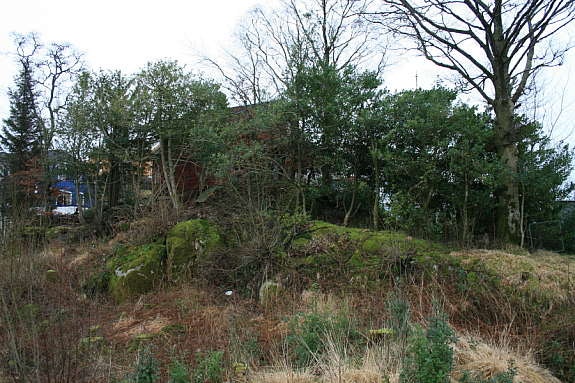 Tomten sett nordfra Galleribilde