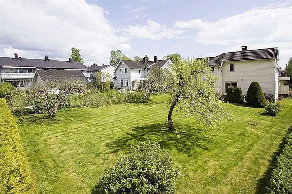 Stor romslig solrik tomt Galleribilde