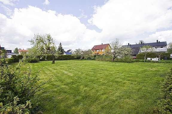 Stor romslig tomt Galleribilde