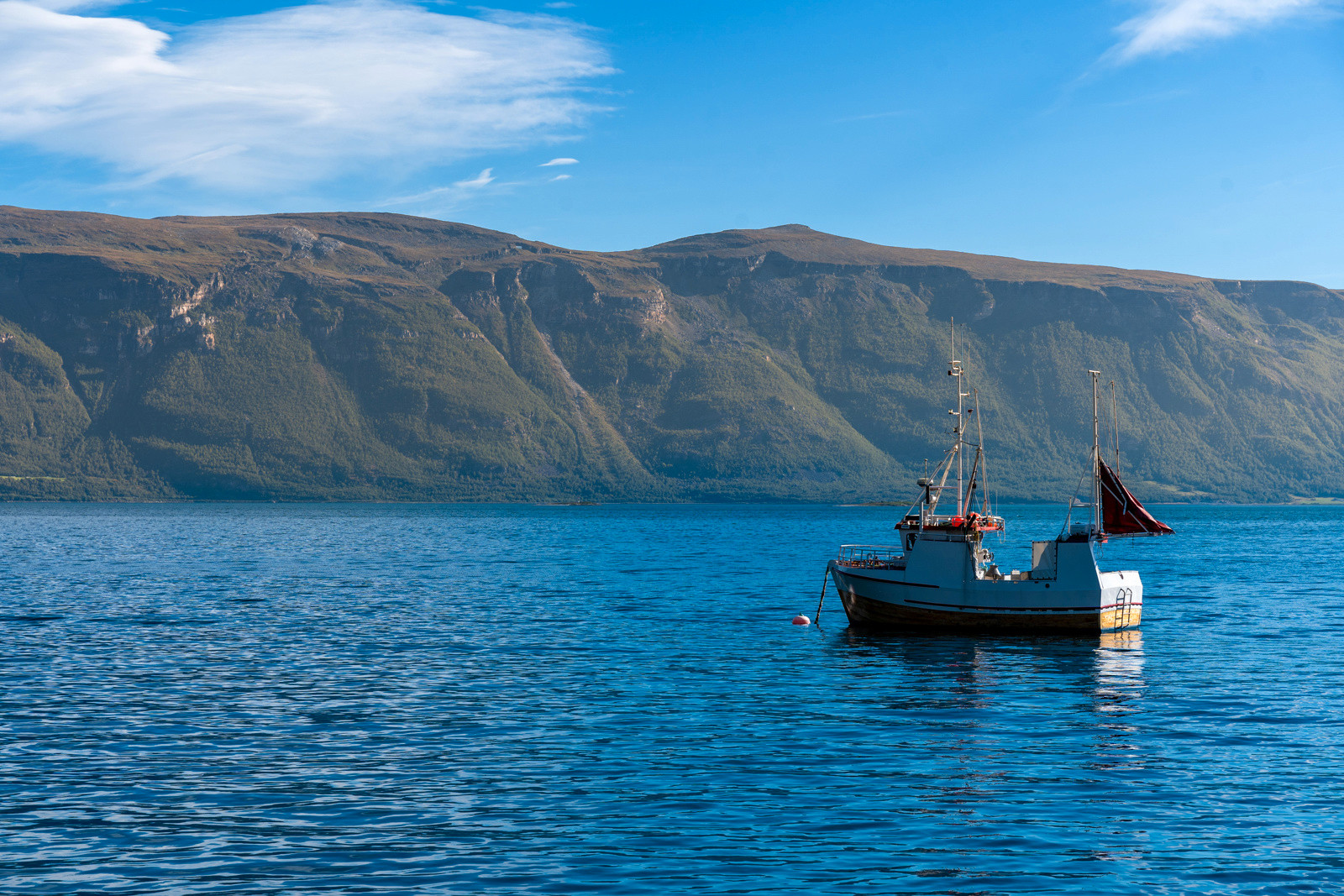 Fantastiske fiskemuligheter ute i fjorden. Det er planlagt for utleie av båt for deg som ønsker å prøve fiskelykken.