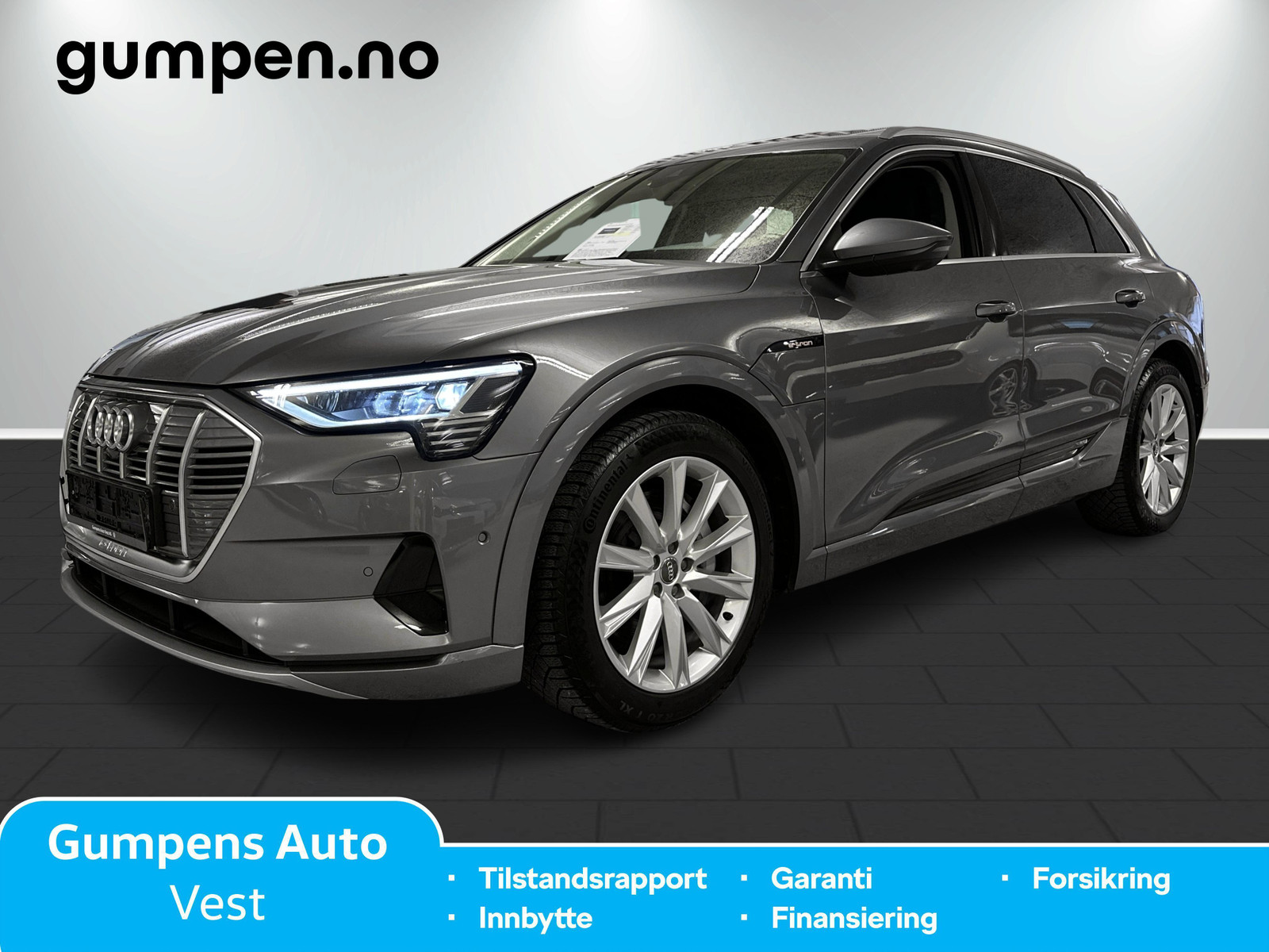 Audi e-tron 50 advanced Sport / Keyless / Skinn