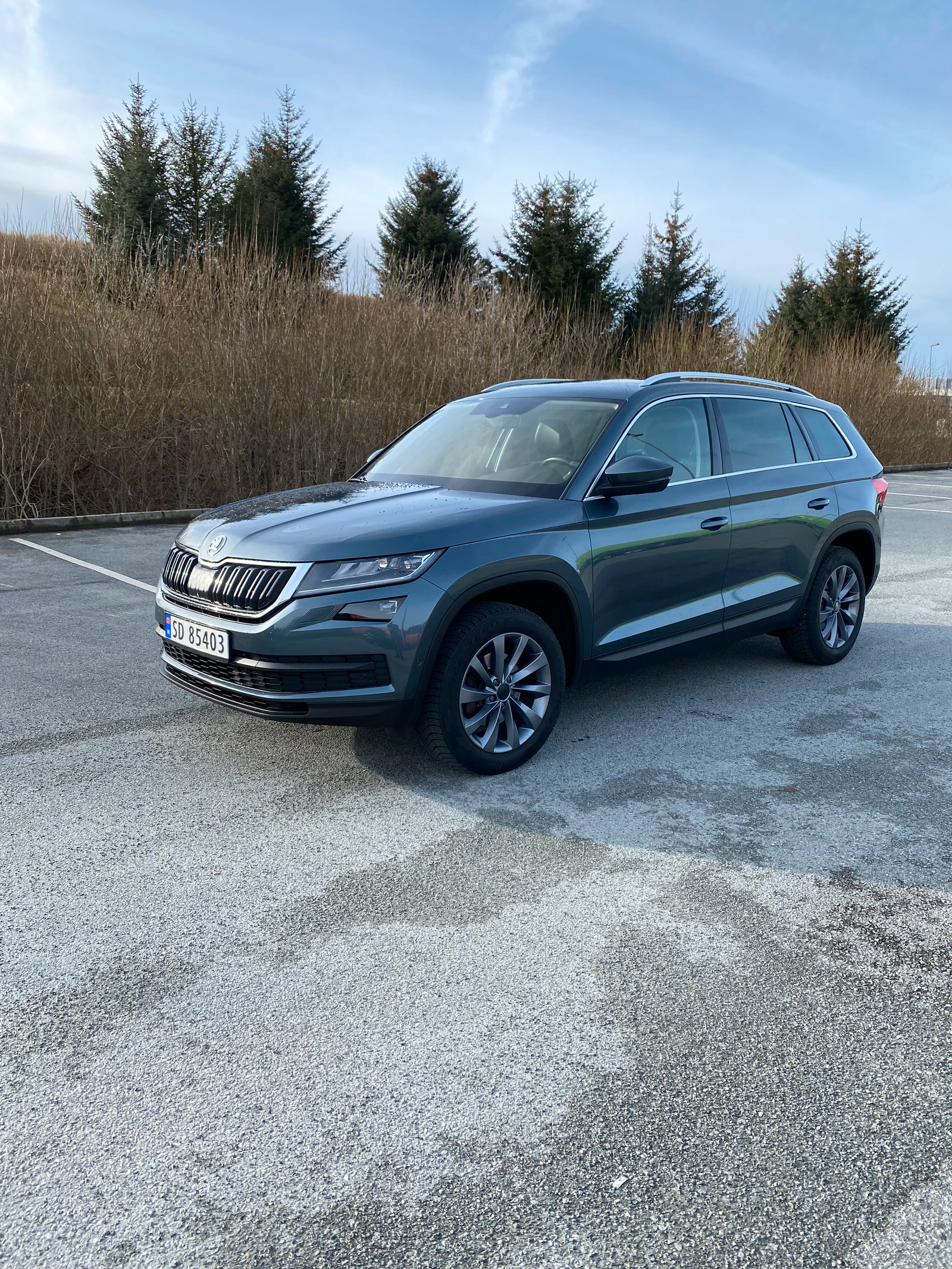 Skoda Kodiaq 1,4 TSI 150hk Style 4x4 aut