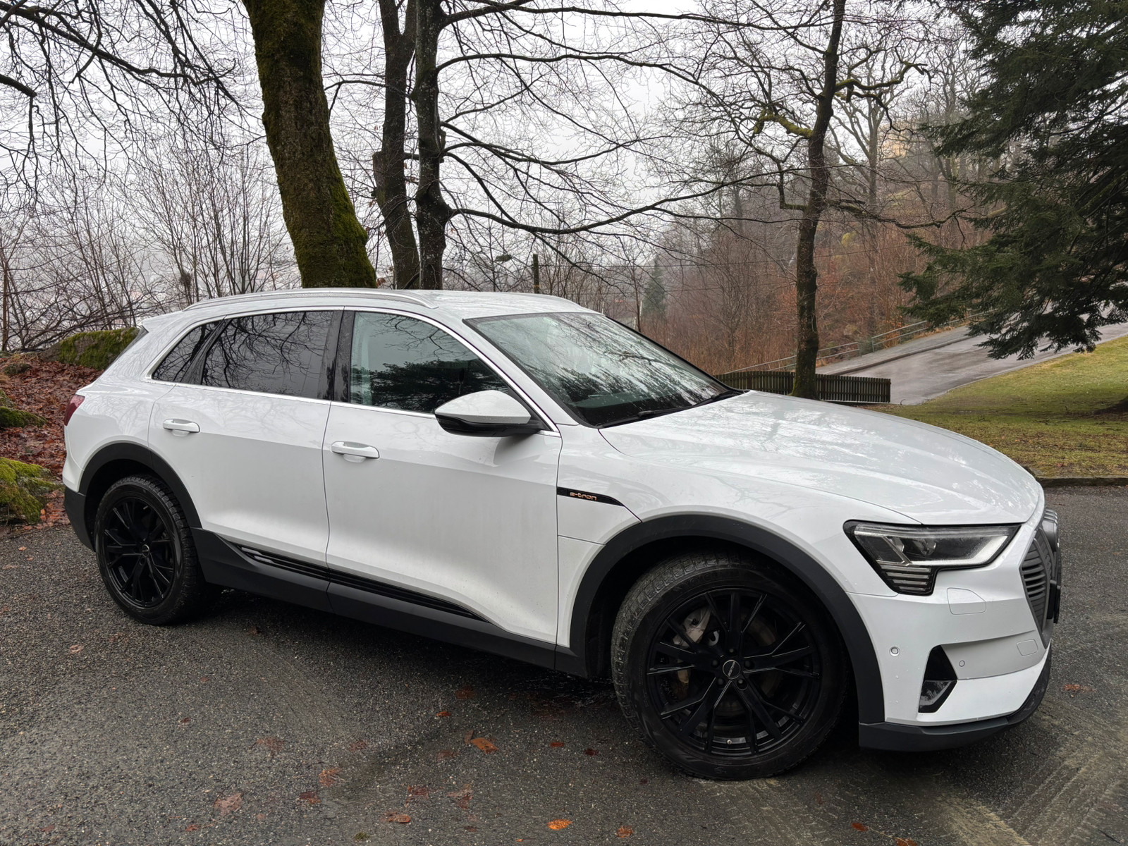 Audi e-tron 50 2