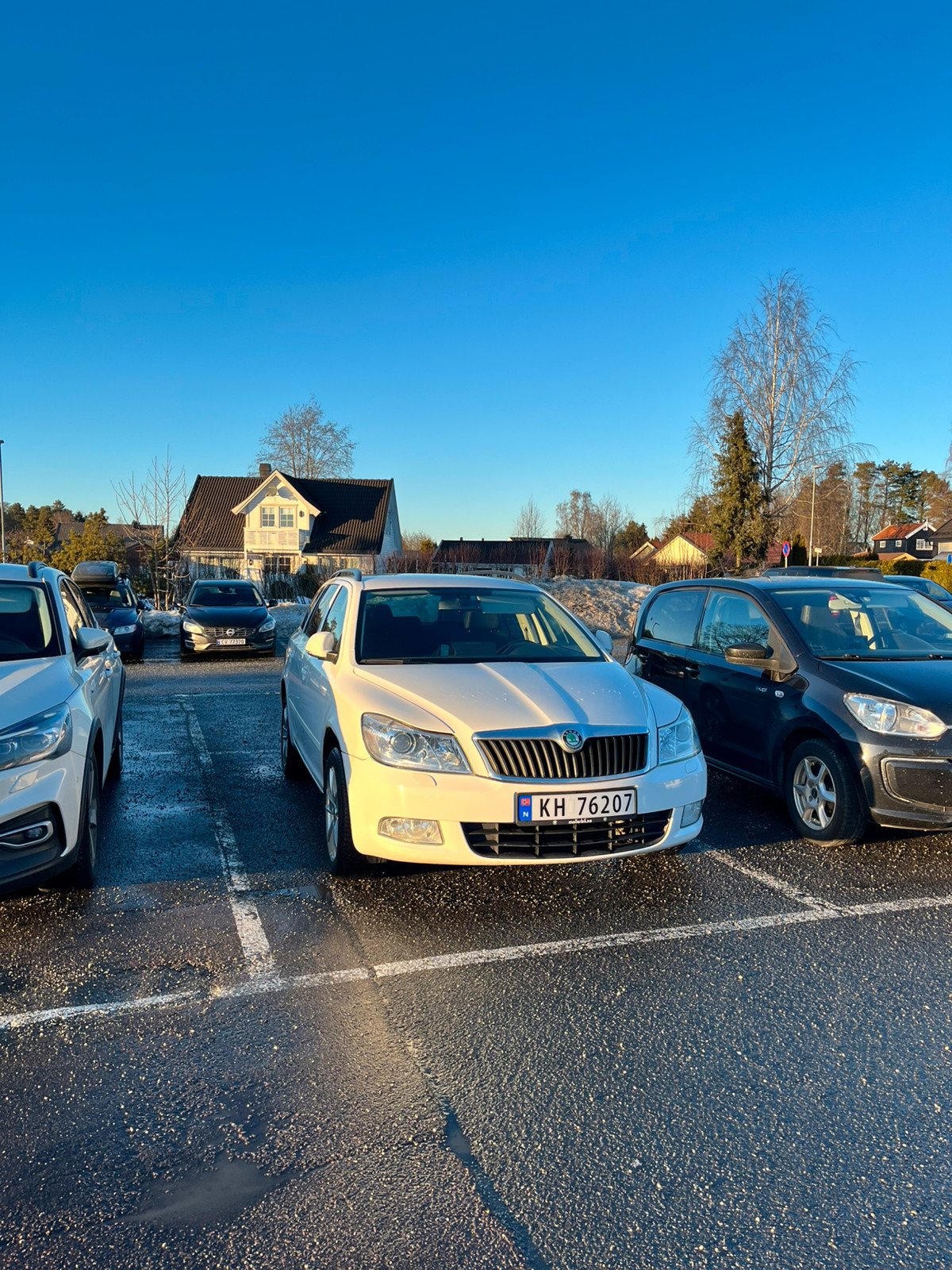 Skoda Octavia 1,6 CR DPF 4X4 Elegance