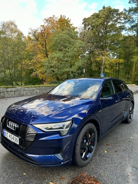 Brukt Audi E-Tron 