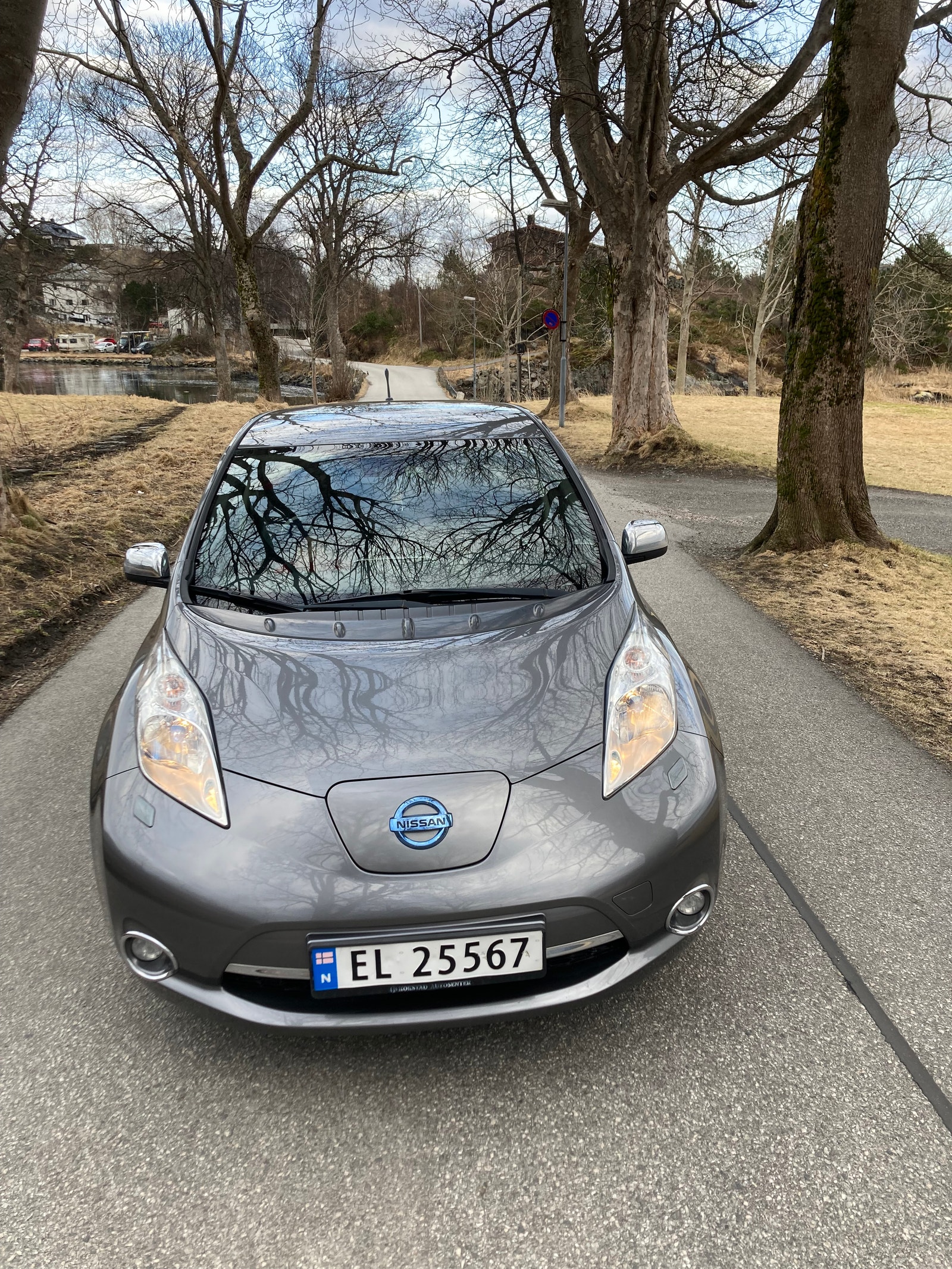 Brukt Nissan Leaf 