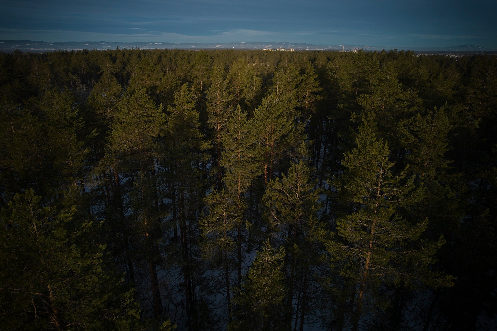 Naturen som din nærmeste nabo