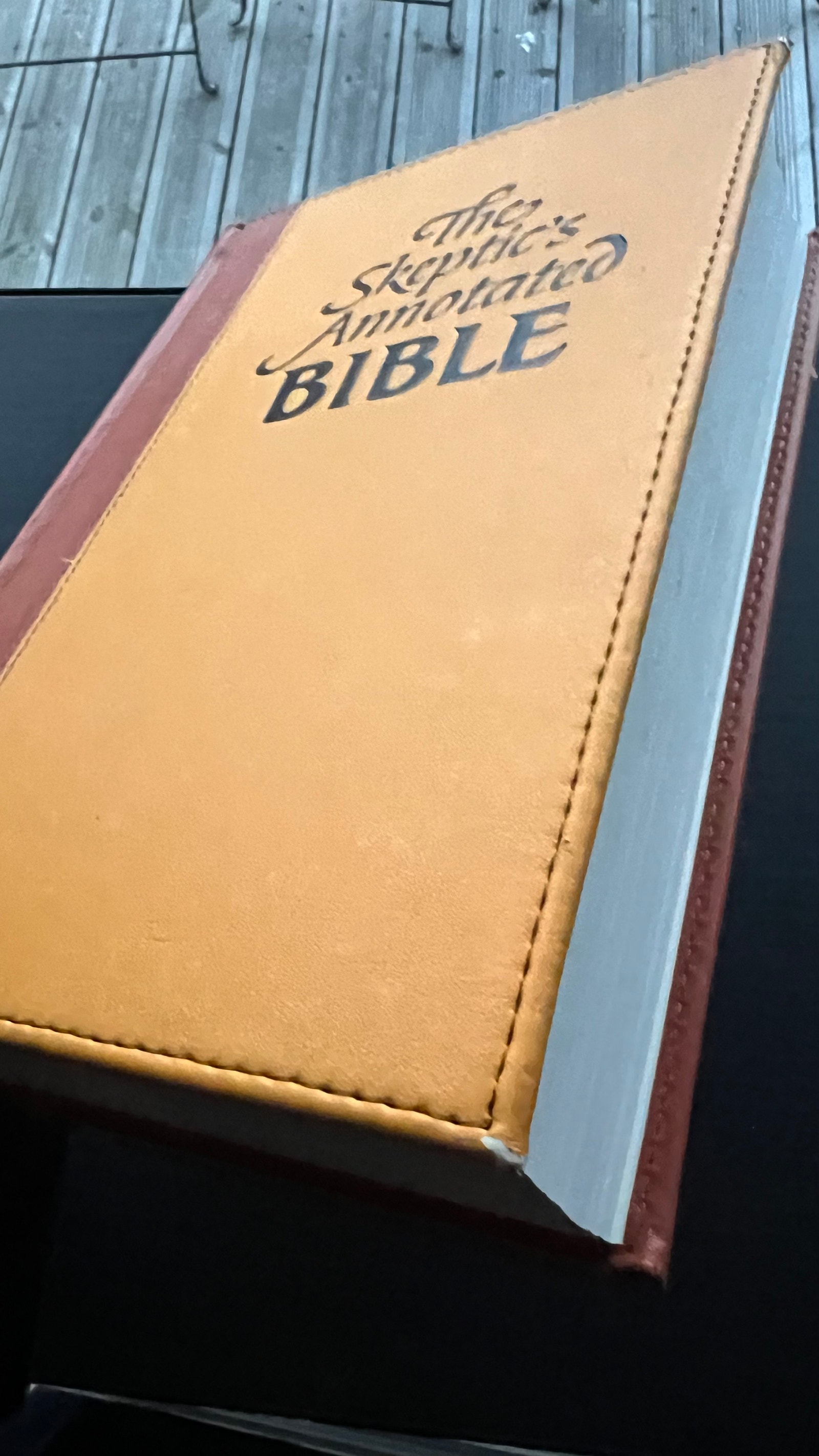 The Skeptic's Annotated Bible – King James Version (1. utgave, 2