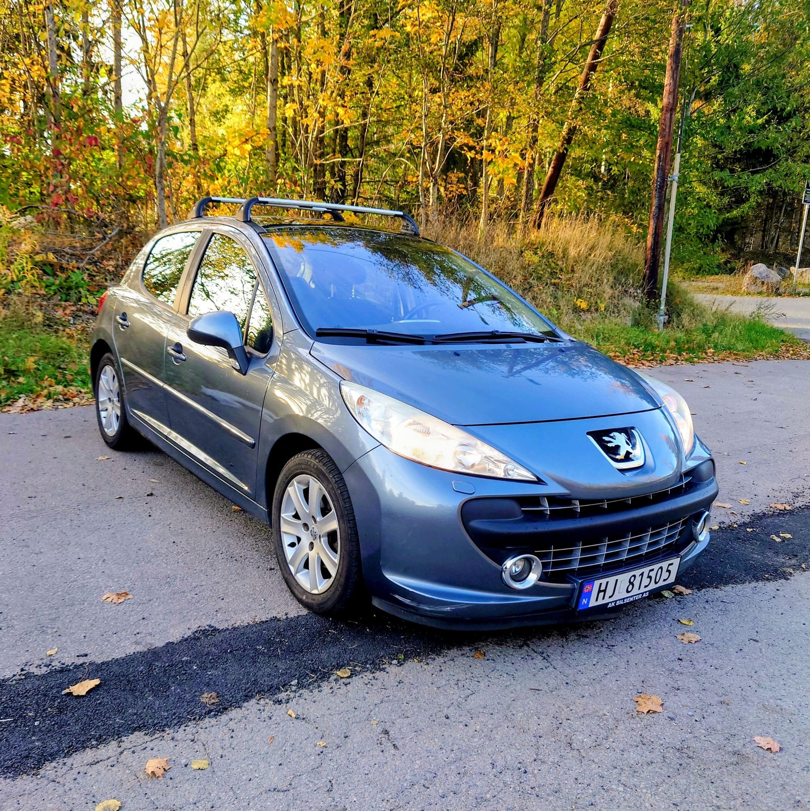Brukt Peugeot 207 1.6