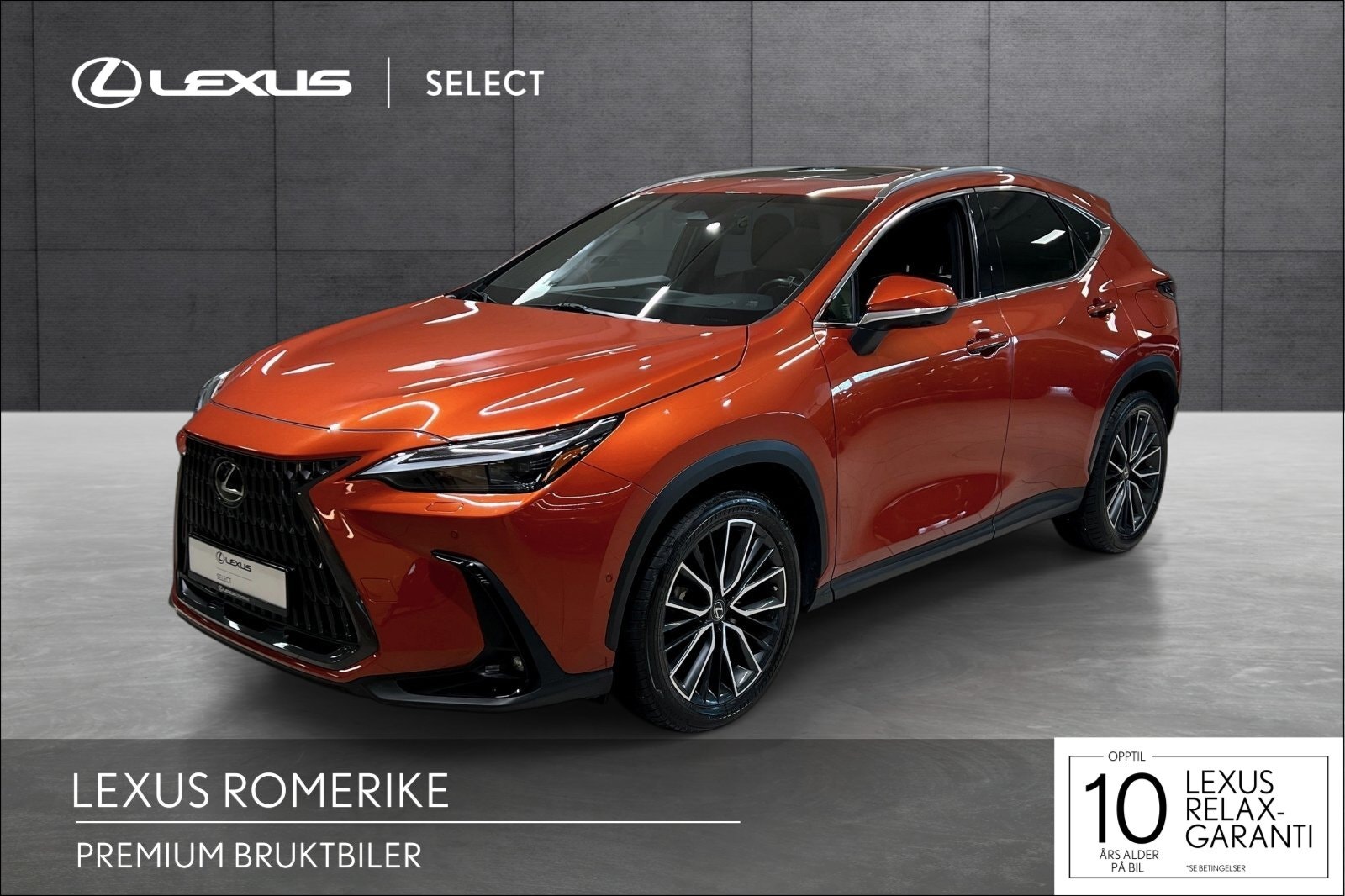 Brukt Lexus Nx 450h+