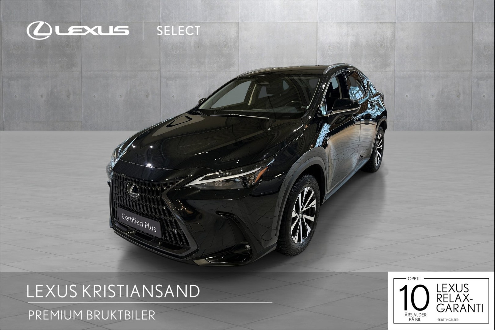 Brukt Lexus Nx 450h+