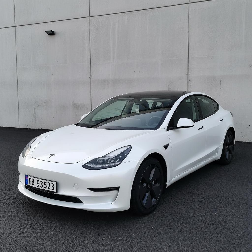 Brukt Tesla Model 3 electro