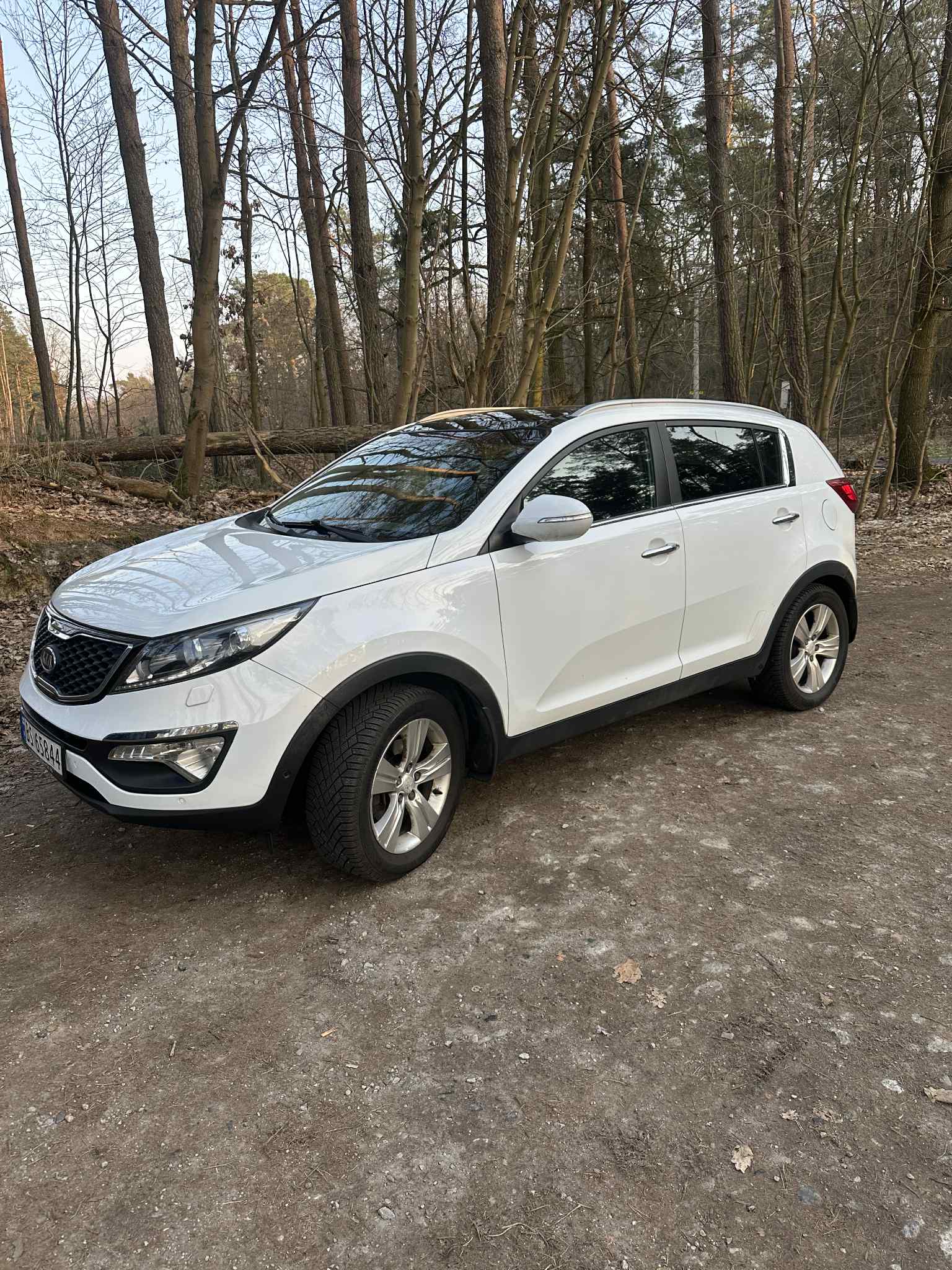 Brugt Kia Sportage 1.6