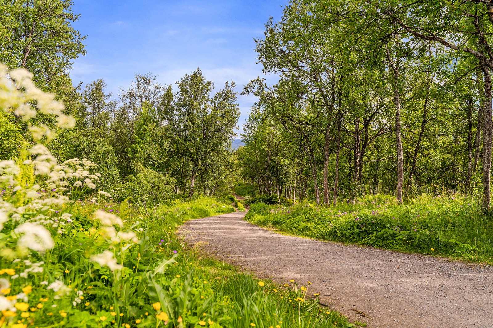 Det er også kort vei til Tromsø-marka for de som er glad i å være ute på lengre turer.