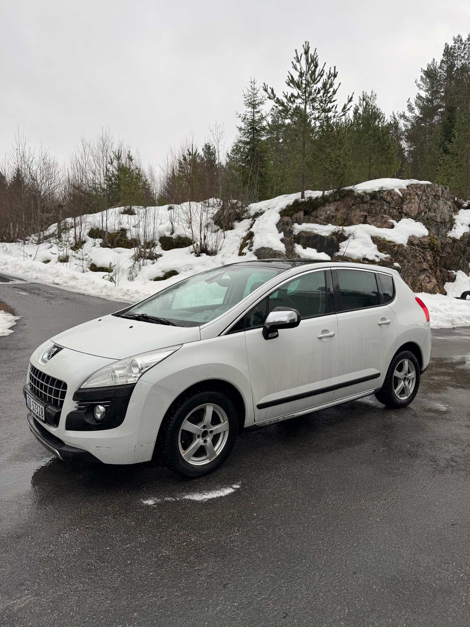 Brugt Peugeot 3008 1.6
