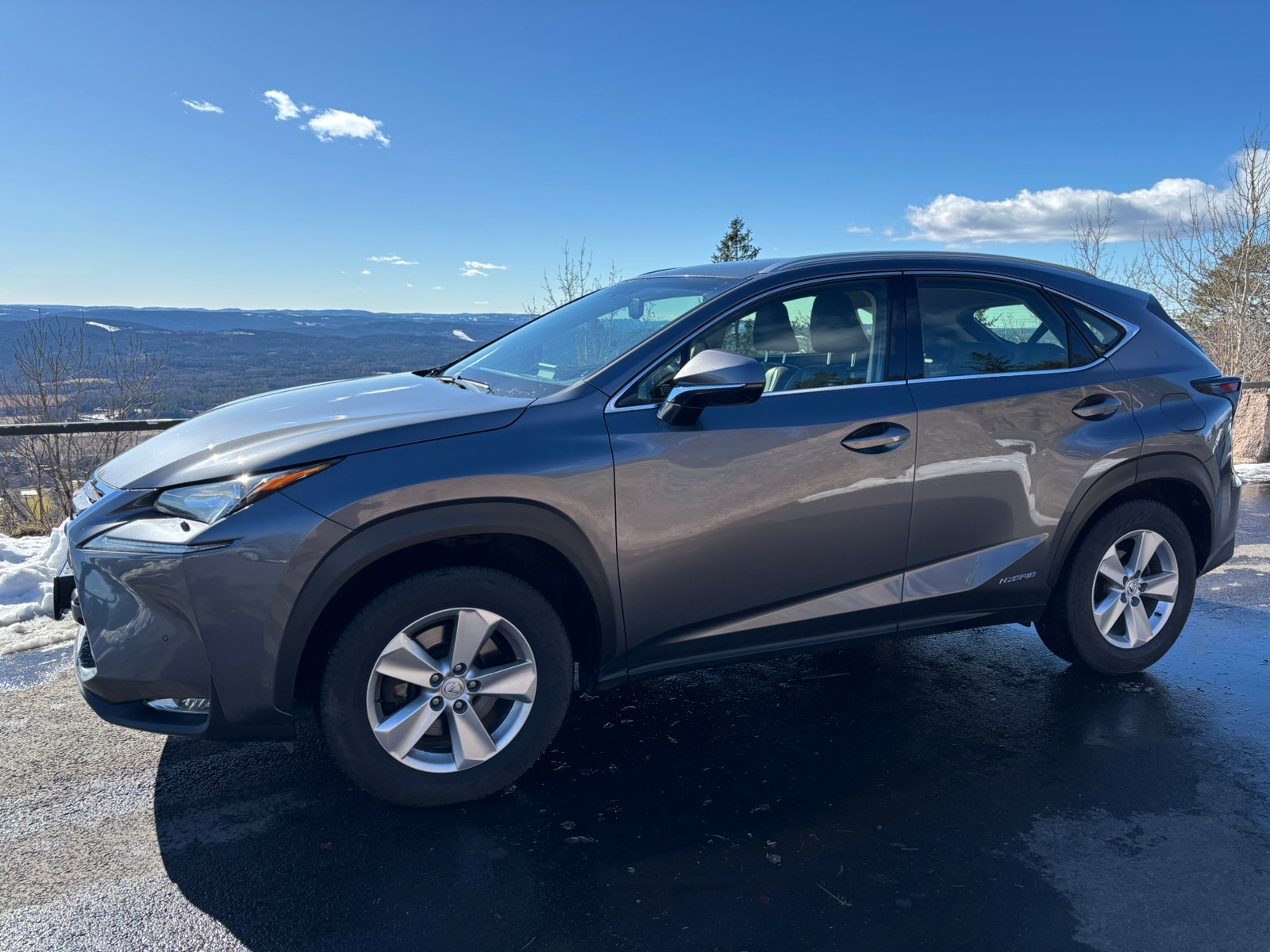 Brukt Lexus Nx 300h