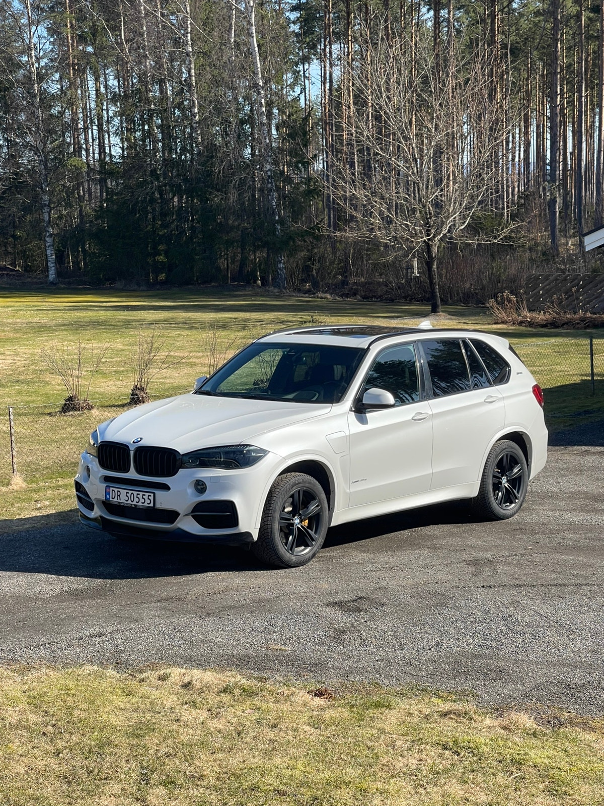 Brukt Bmw X5 