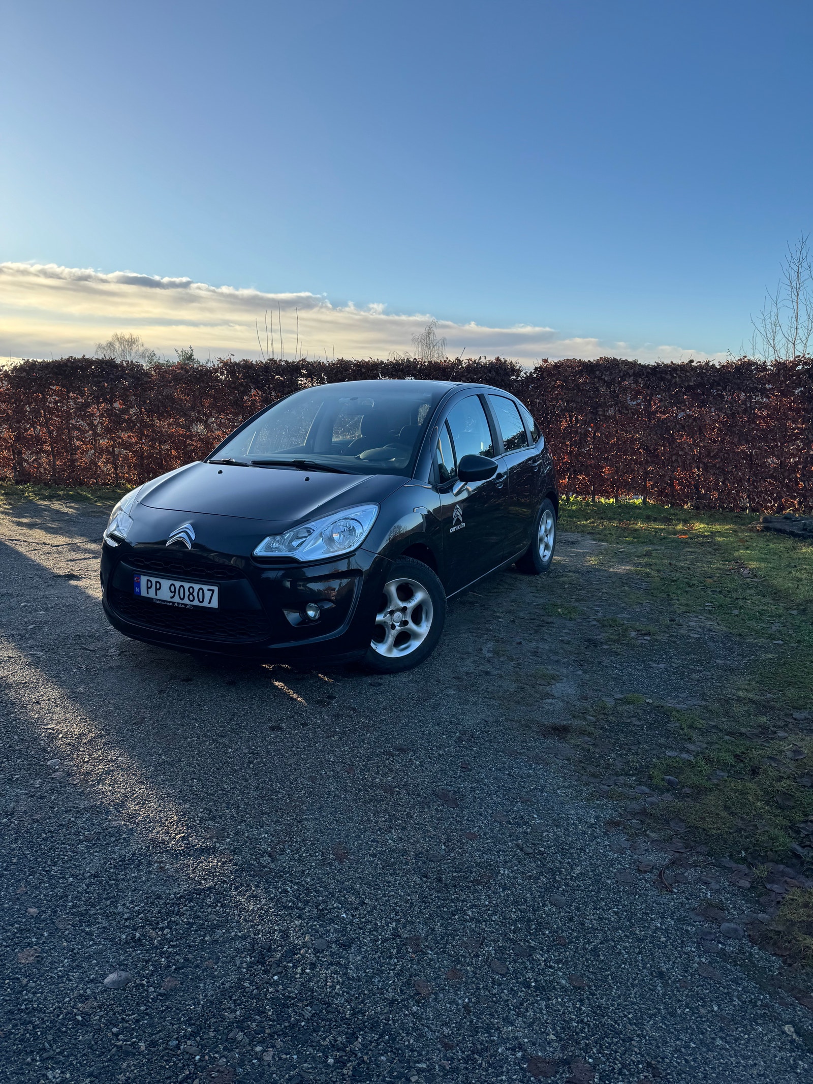 Brugt Citroen C3 1.4
