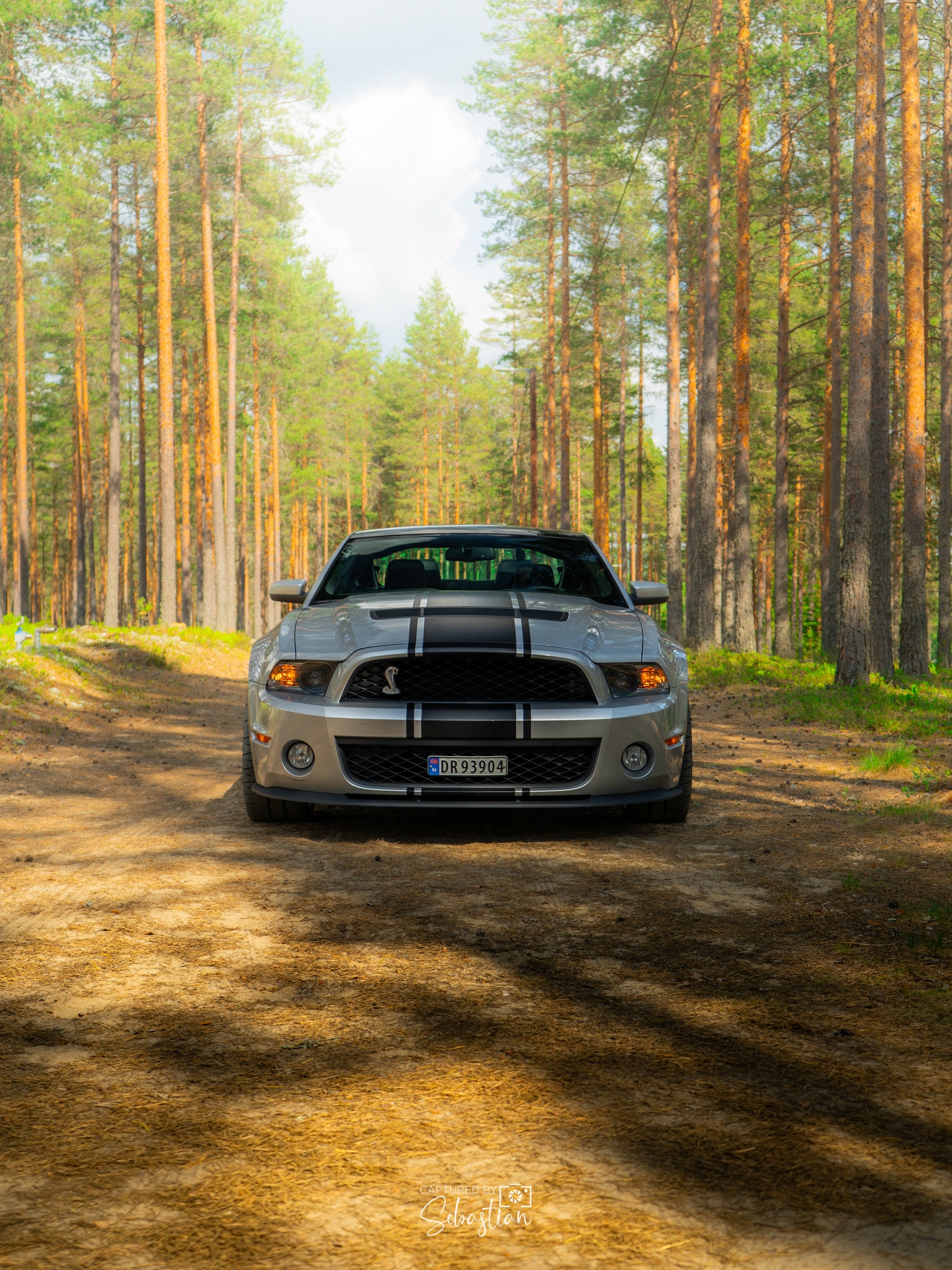Brukt Ford Mustang 