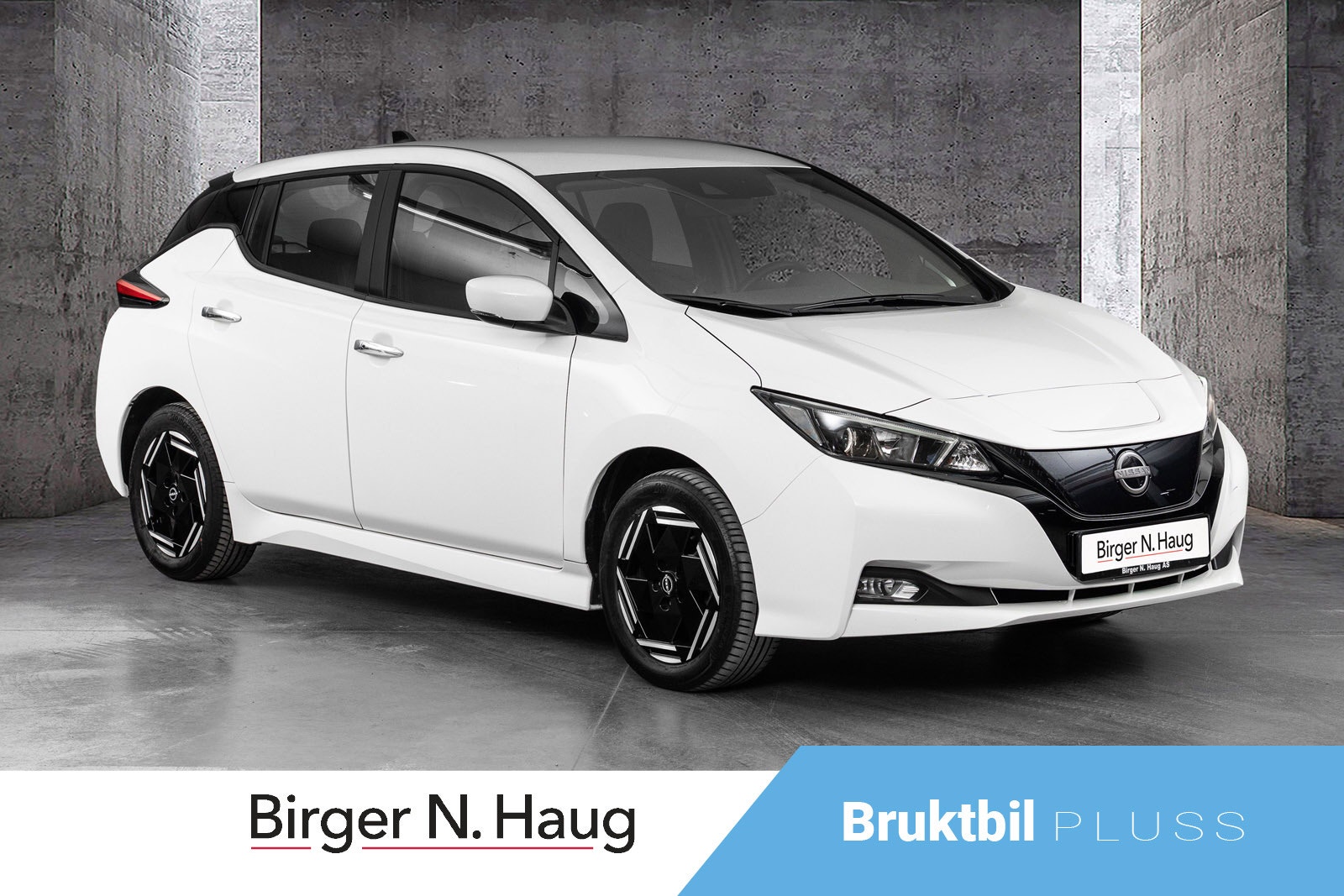 Brukt Nissan Leaf 