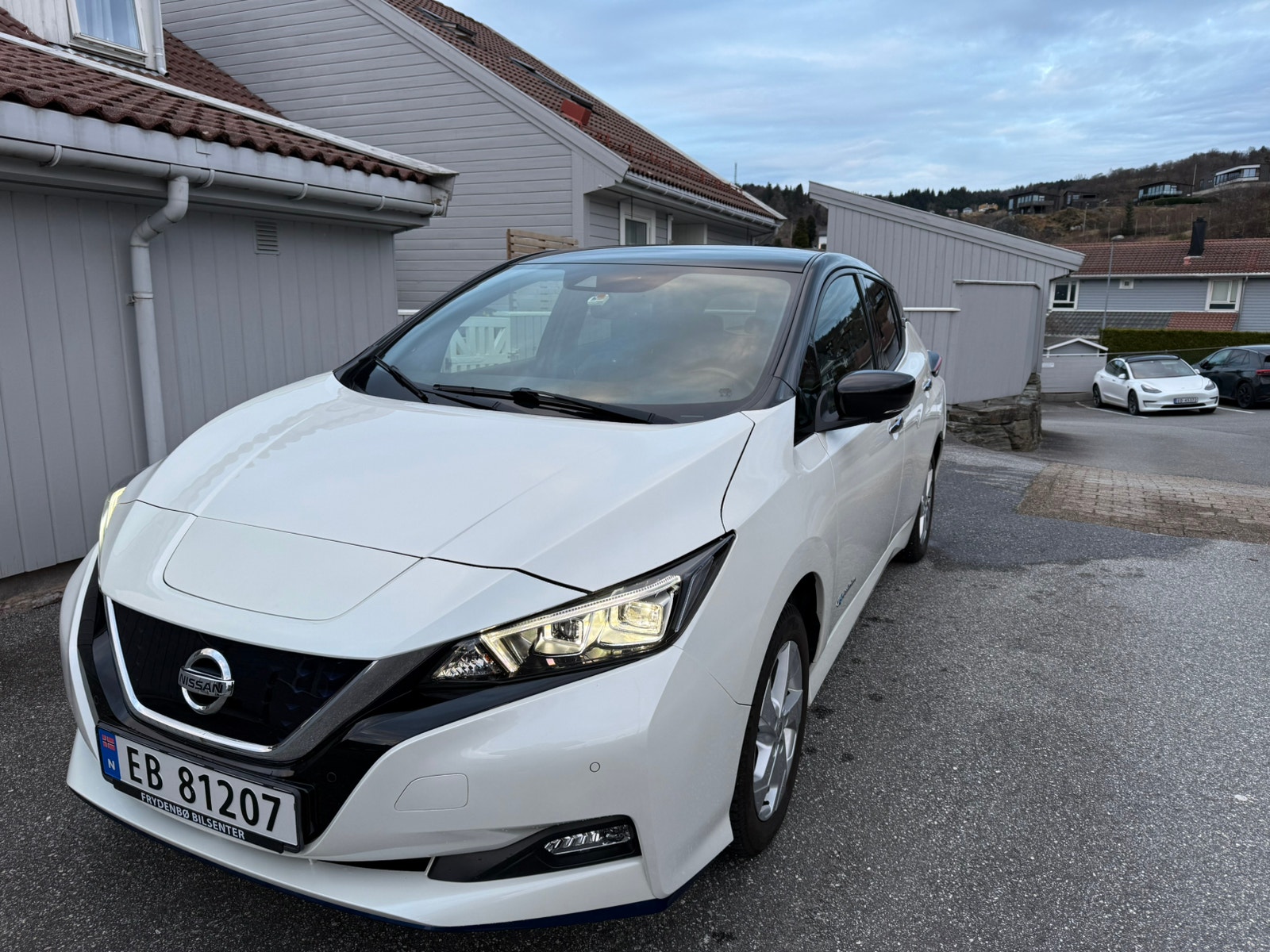 Brukt Nissan Leaf 