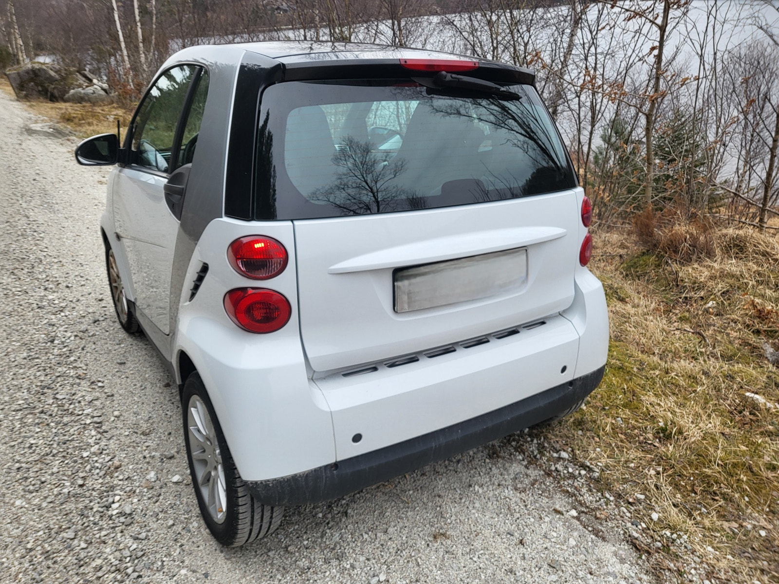Brukt Smart Fortwo 