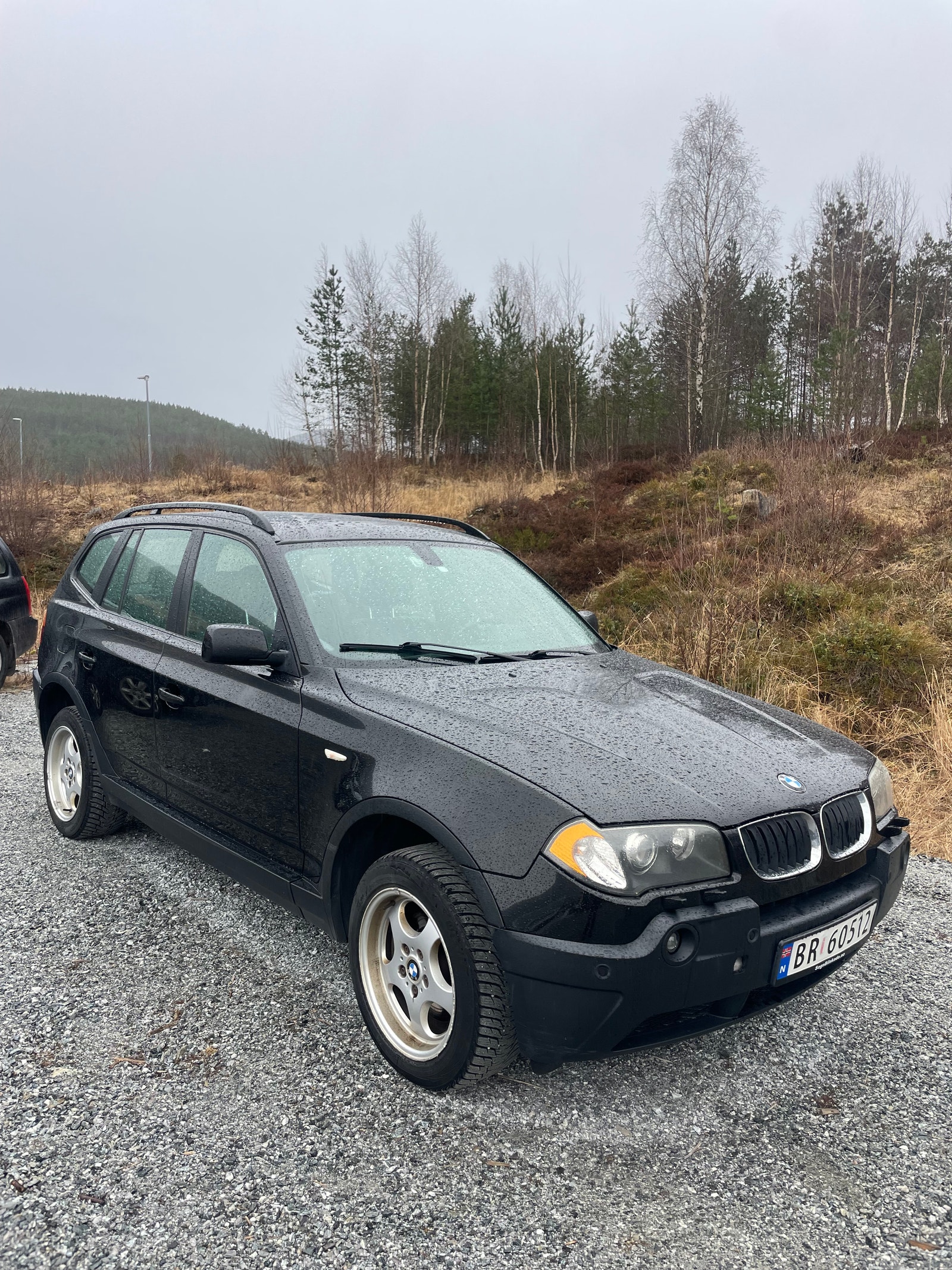 Brukt Bmw X3 
