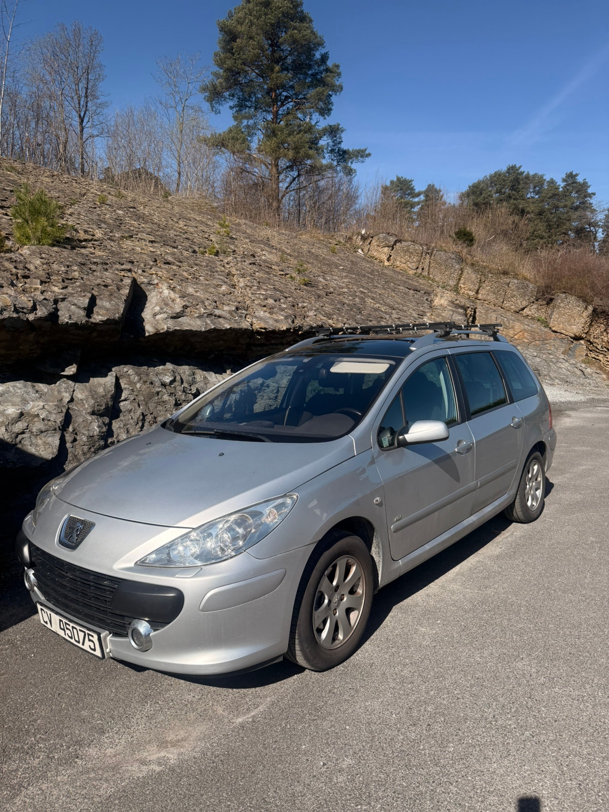 Brukt Peugeot 307 1.6