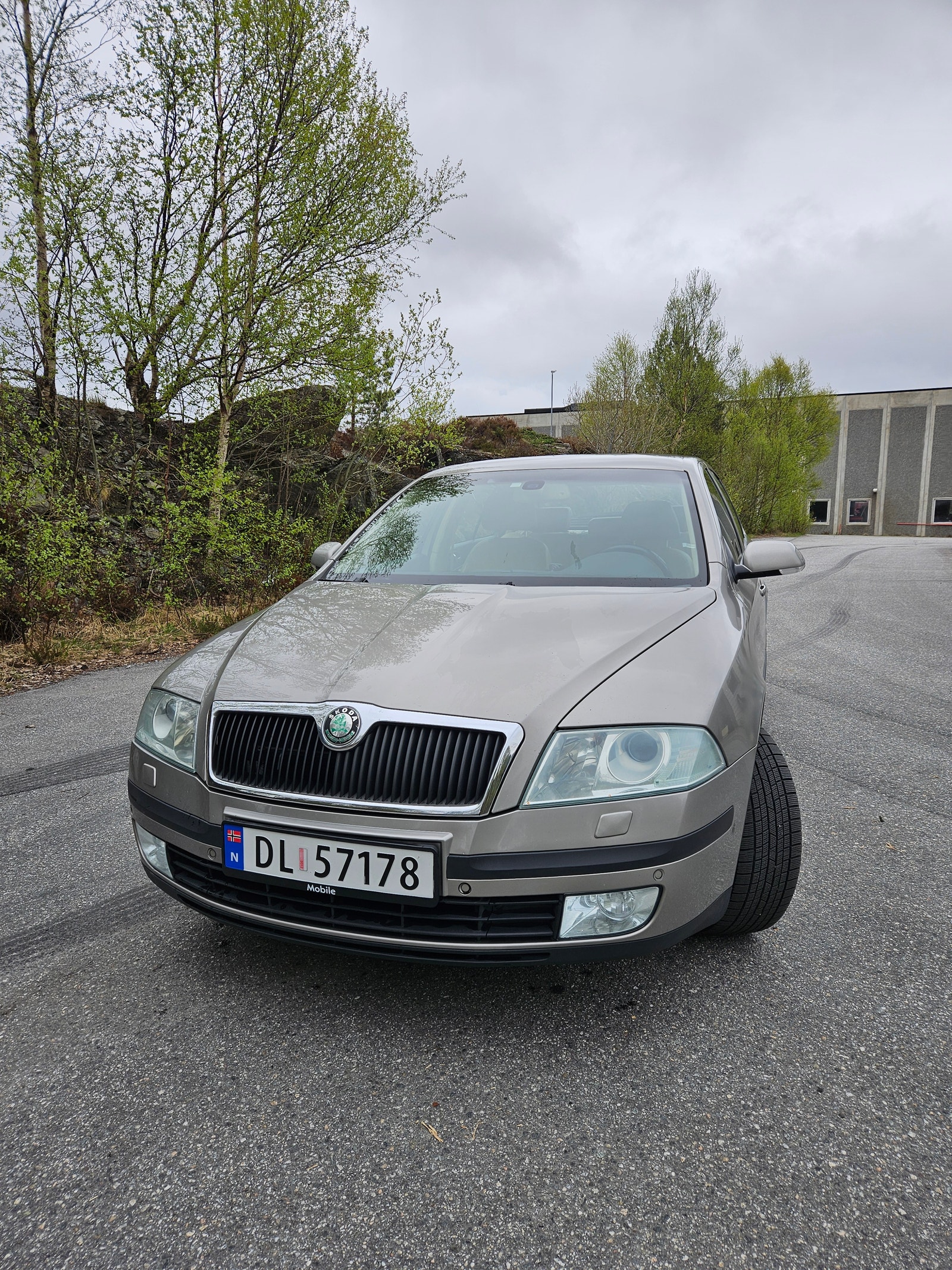 Brukt Škoda Octavia 1.9