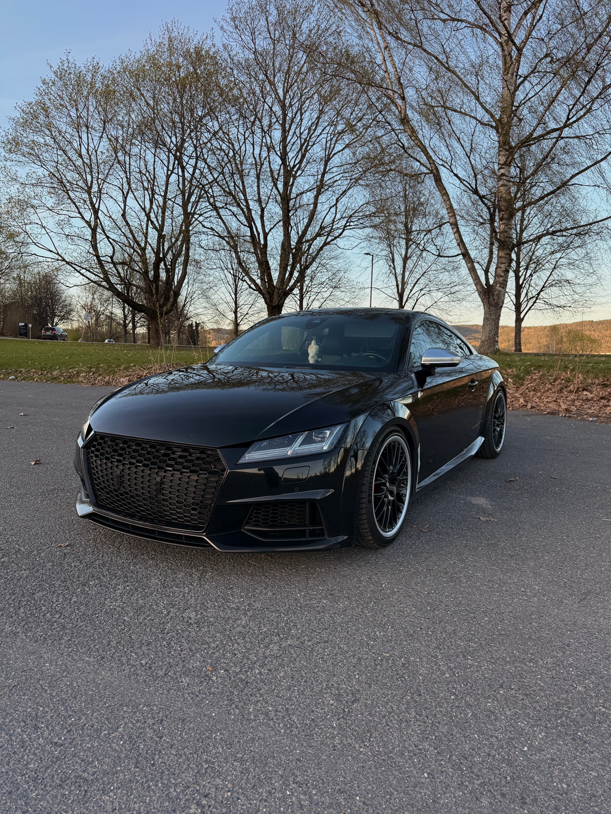 Brukt Audi Tts 