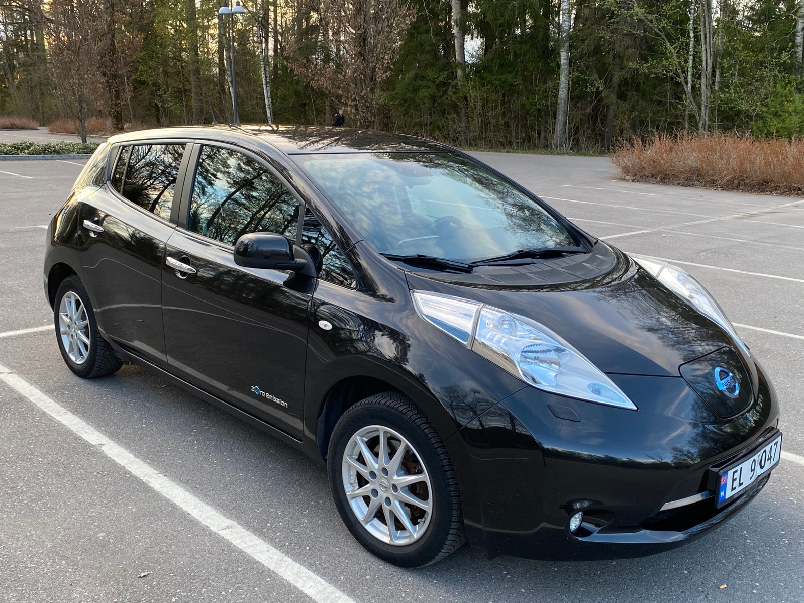 Brukt Nissan Leaf 