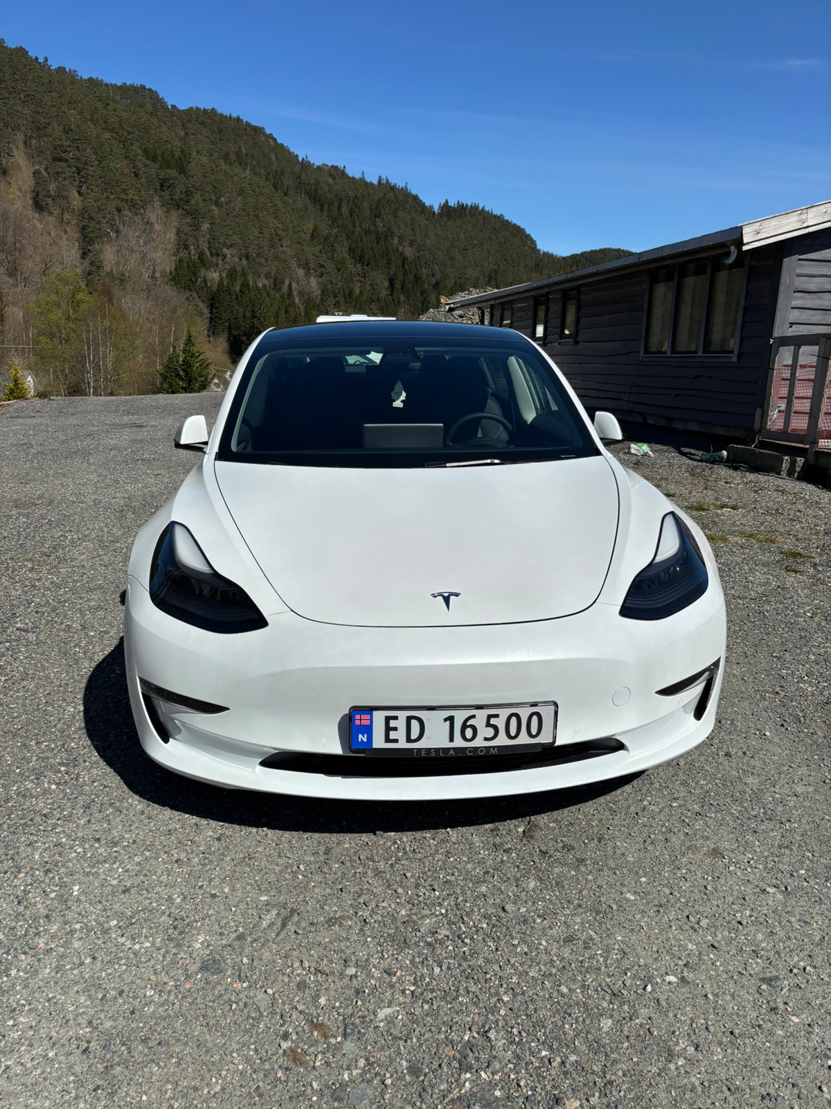 Brukt Tesla Model 3 electro