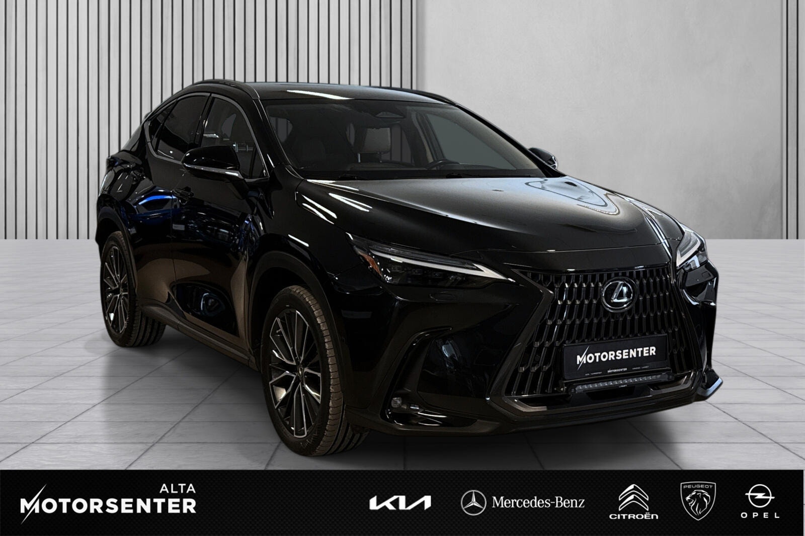 Brukt Lexus Nx 450h+