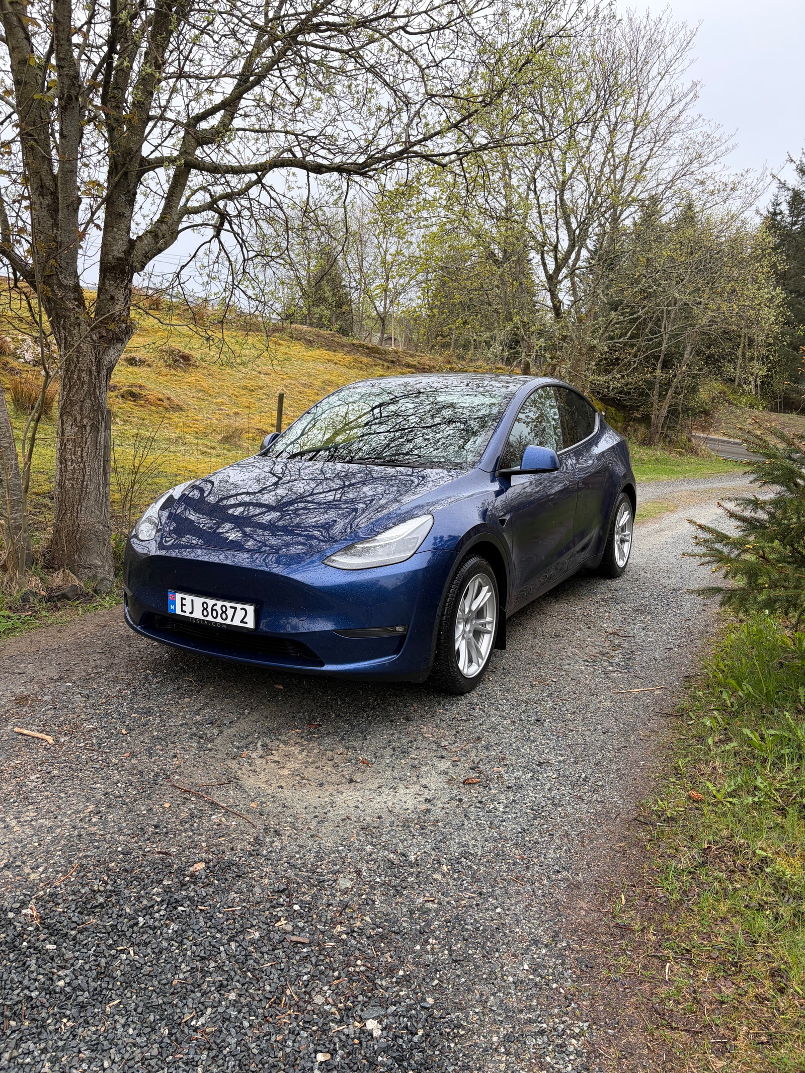 Brukt Tesla Model Y electro