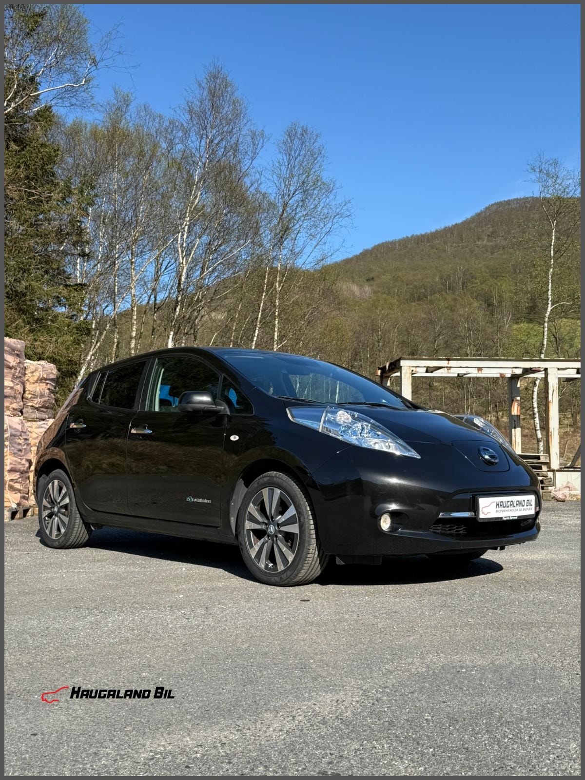 Brukt Nissan Leaf 