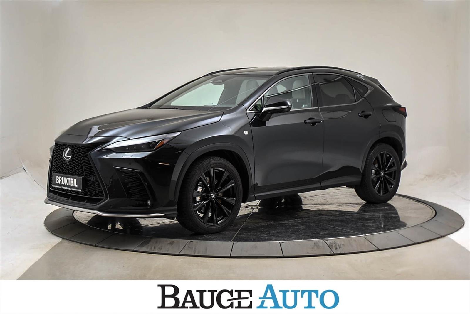 Brukt Lexus Nx 450h+