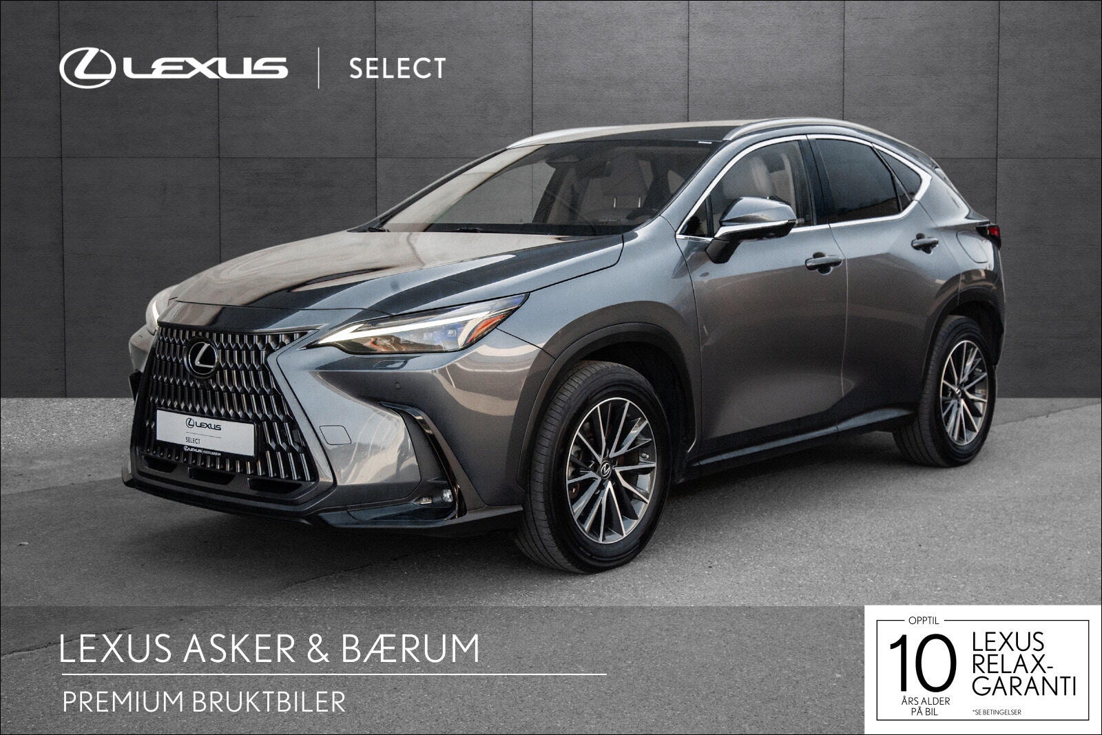 Brukt Lexus Nx 450h+