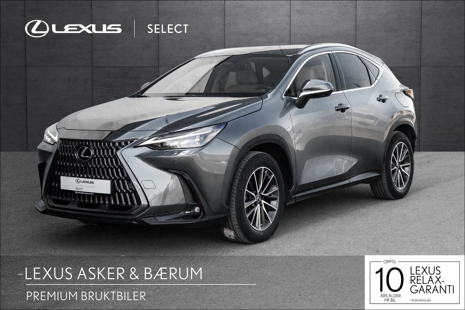 Brukt Lexus Nx 450h+