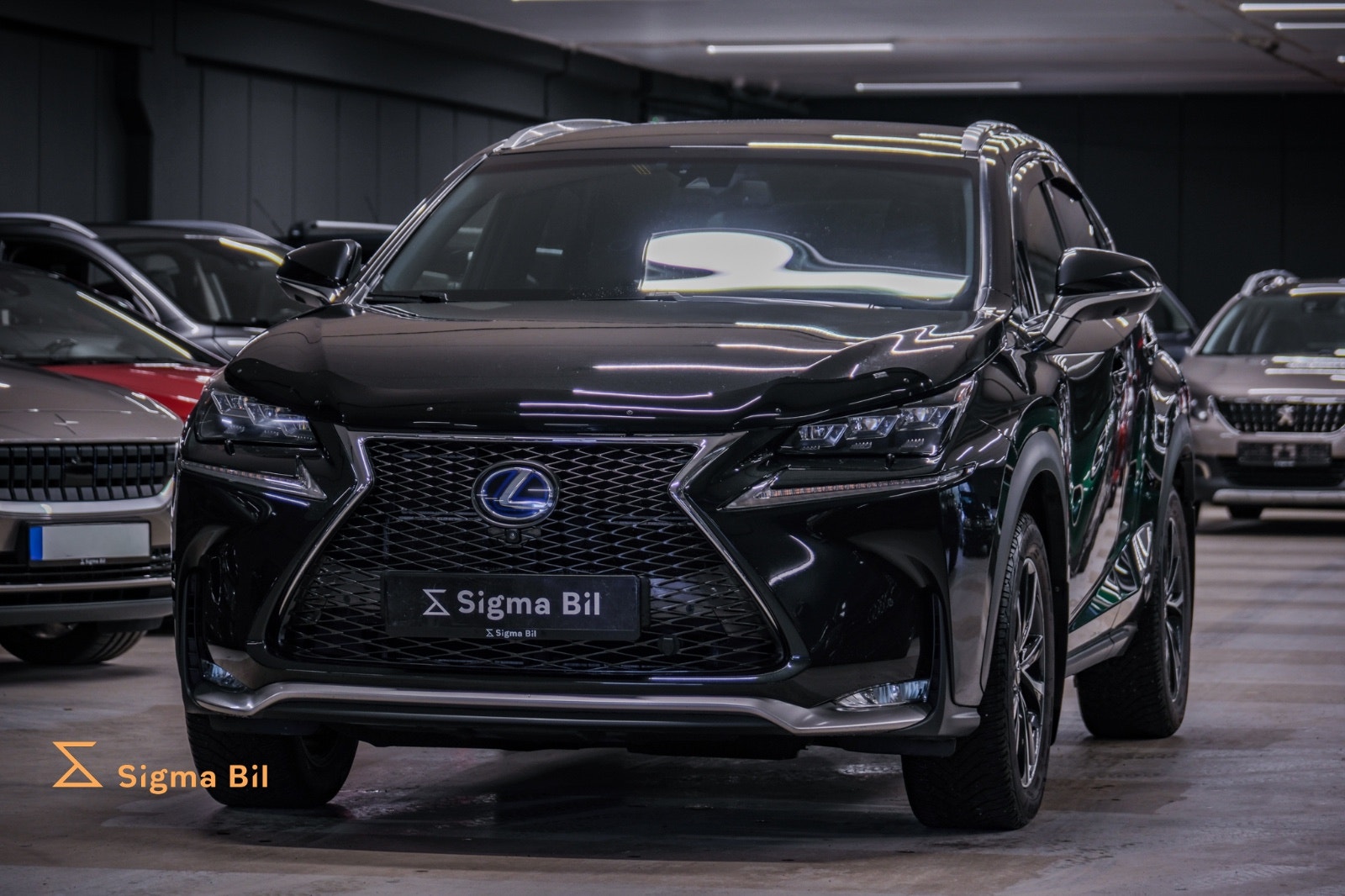 Bilde av Lexus NX 300h