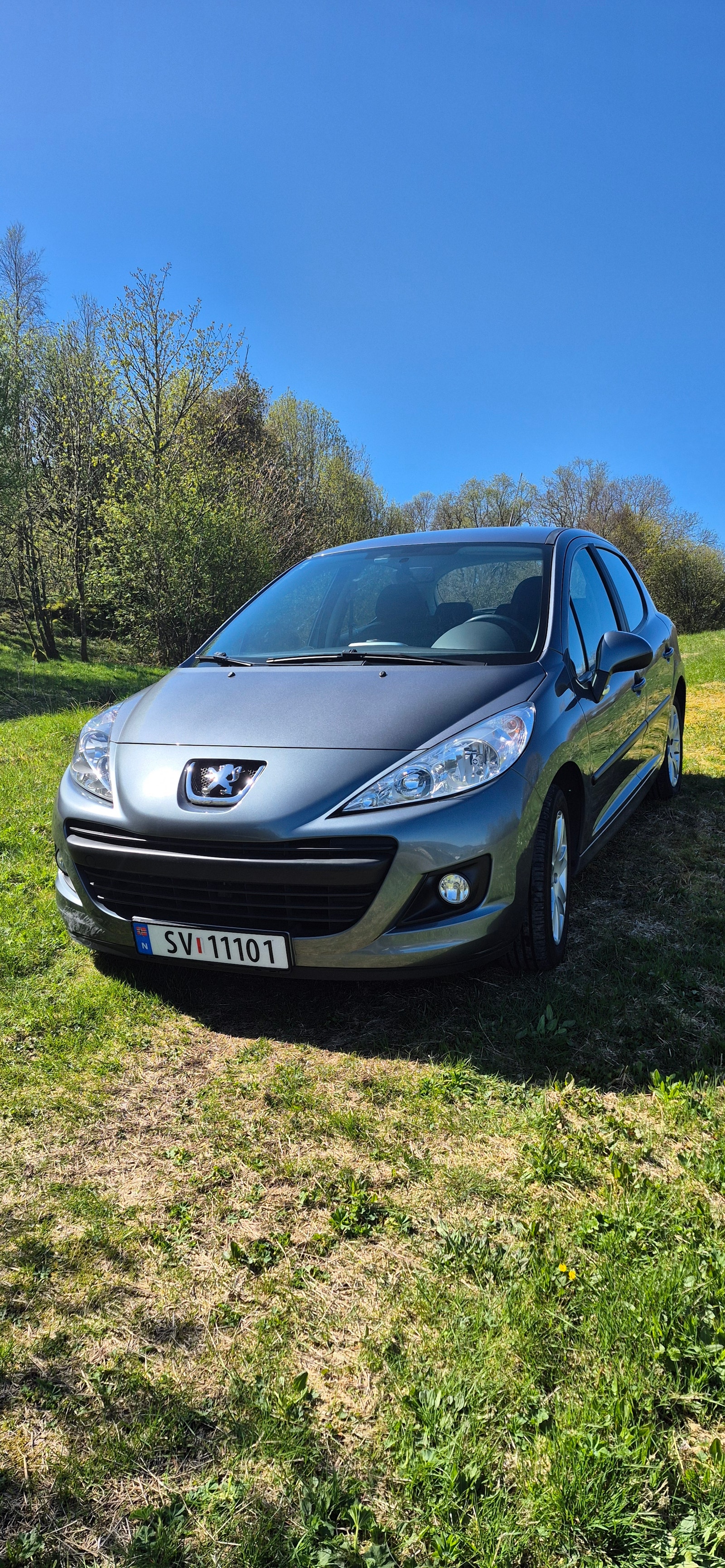 Brukt Peugeot 207 1.4