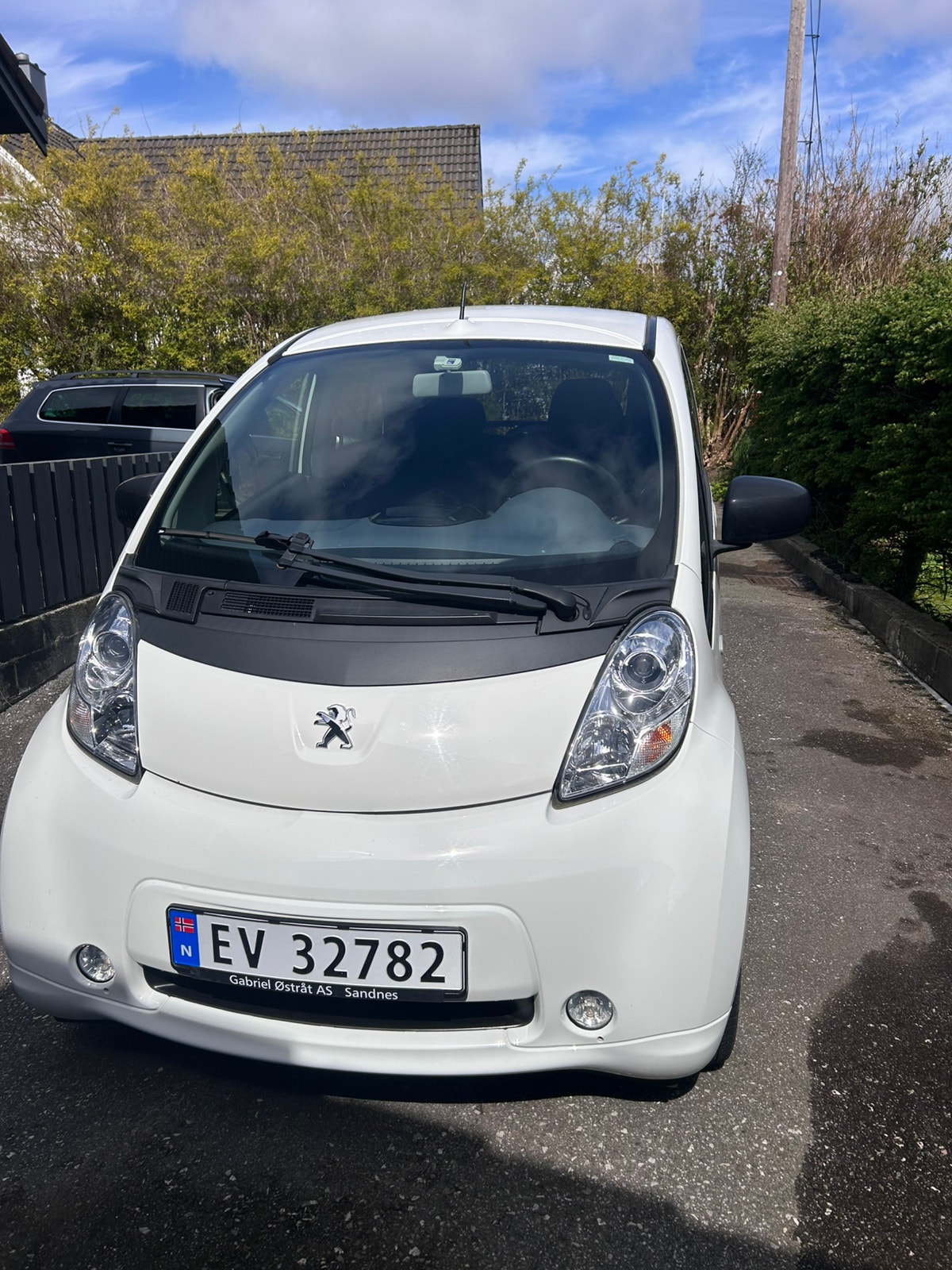 Brukt Peugeot Ion 