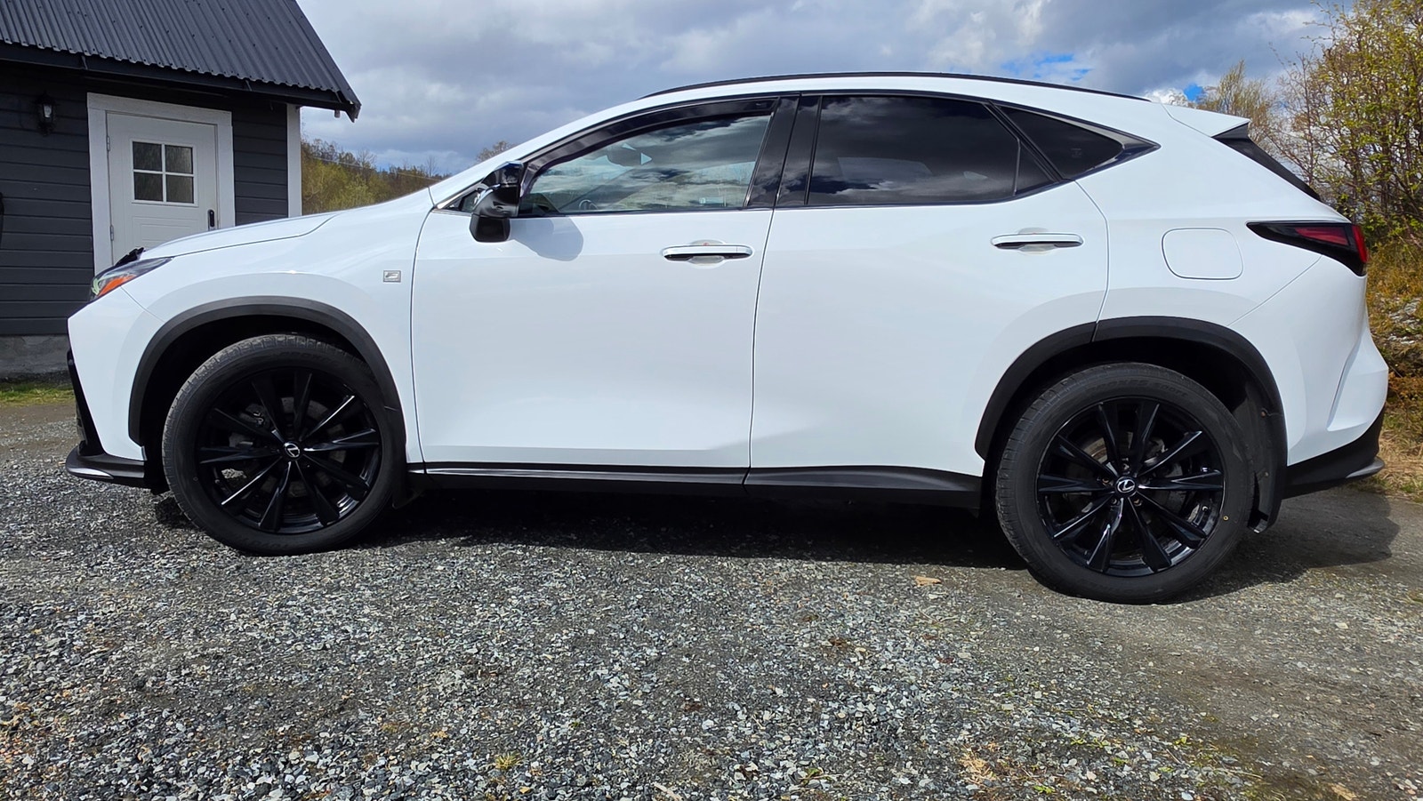 Brugt Lexus Nx 450h+
