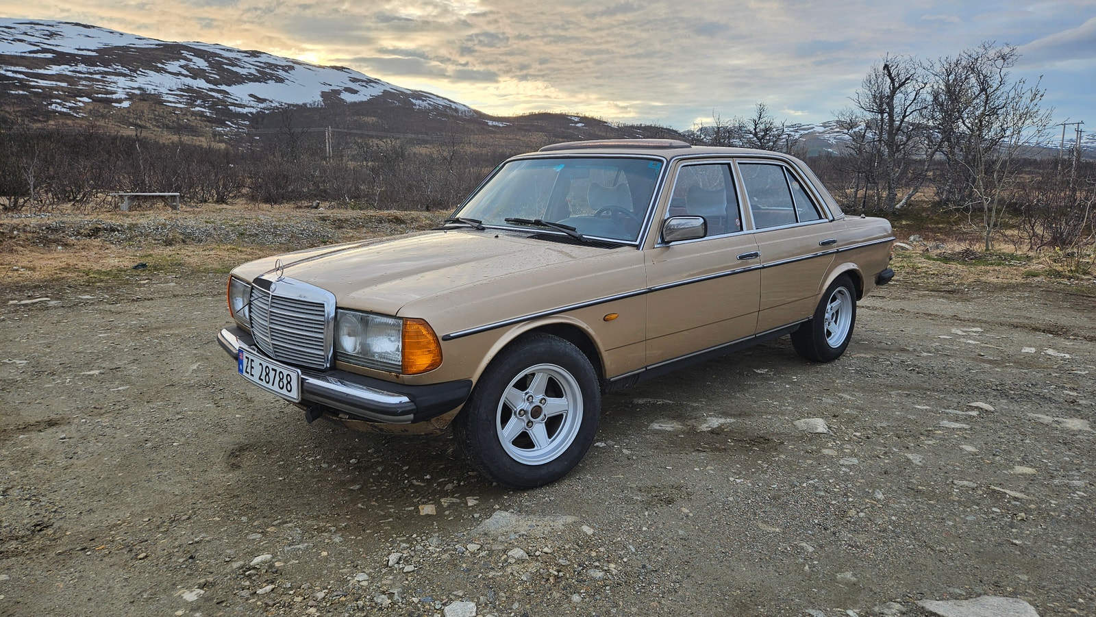 Brugt Mercedes Benz E-Class 