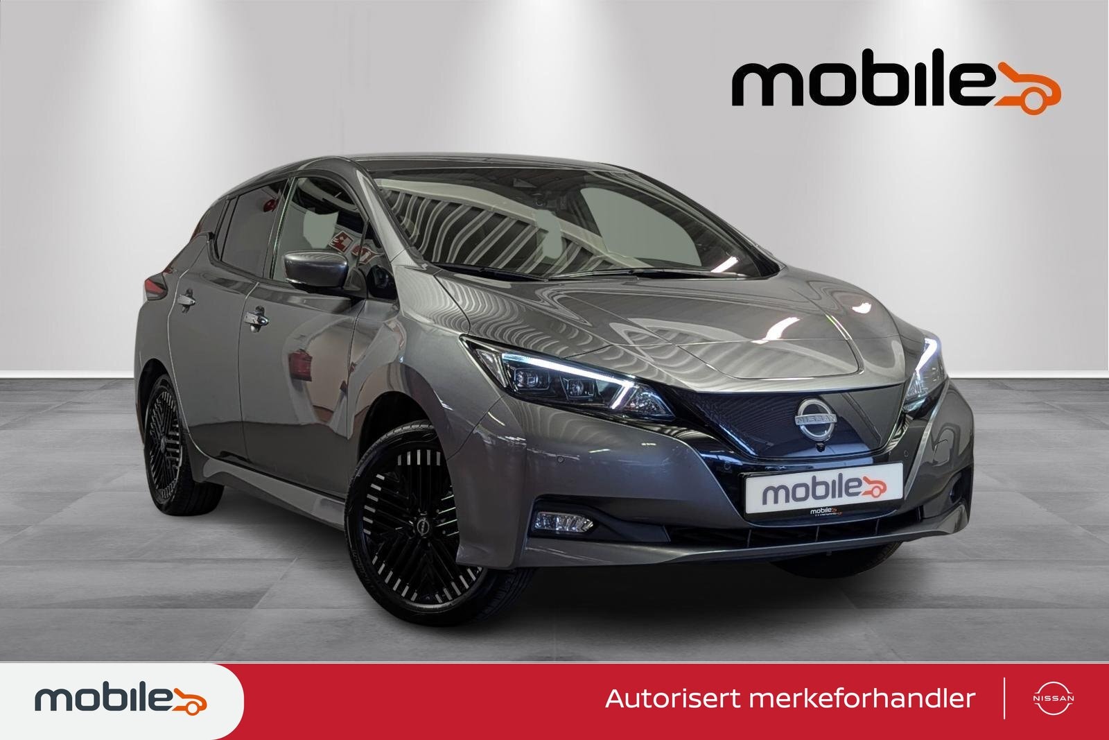 Brukt Nissan Leaf 