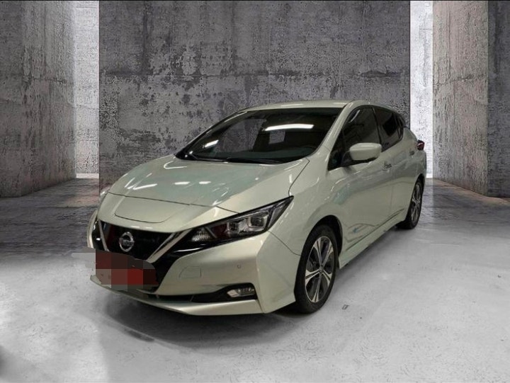 Brukt Nissan Leaf 