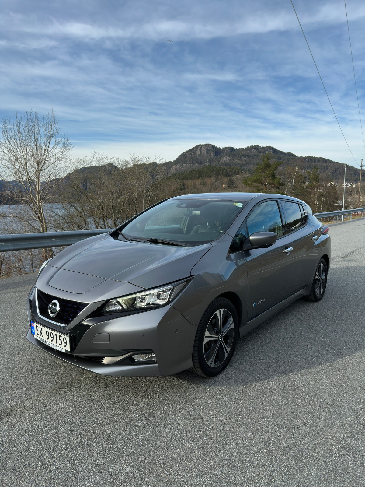 Brukt Nissan Leaf 