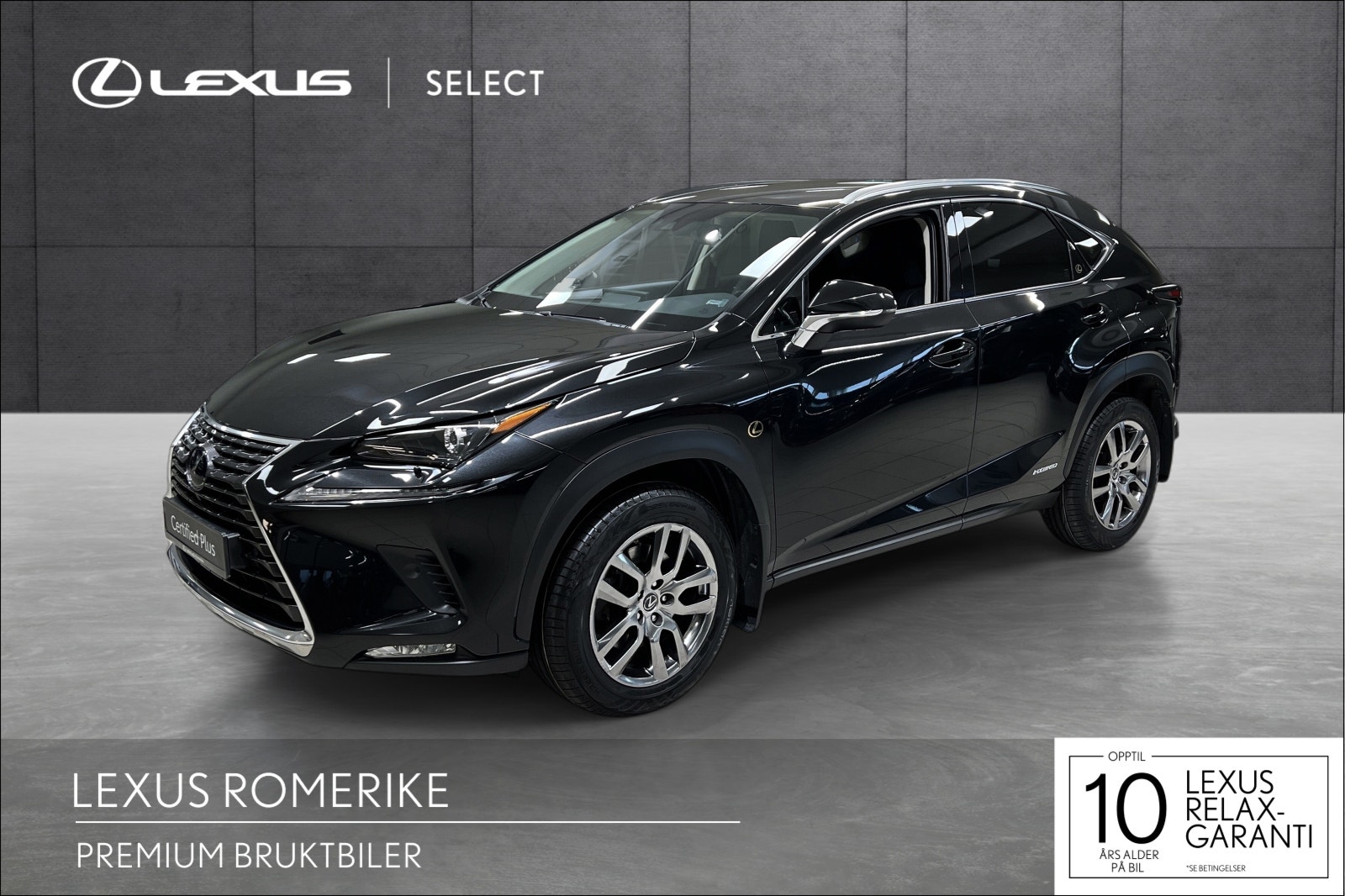 Brukt Lexus Nx 300h
