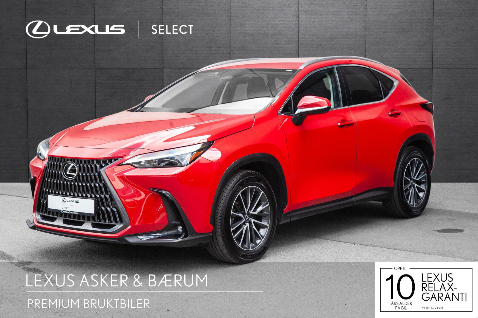 Brugt Lexus Nx 450h+