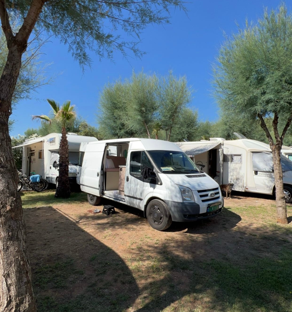 Brukt Ford Transit 